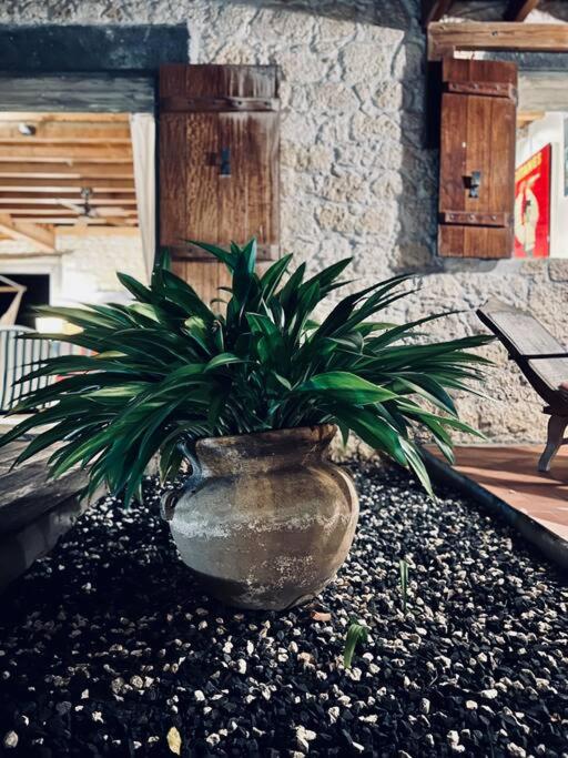 L'habitation Thara.