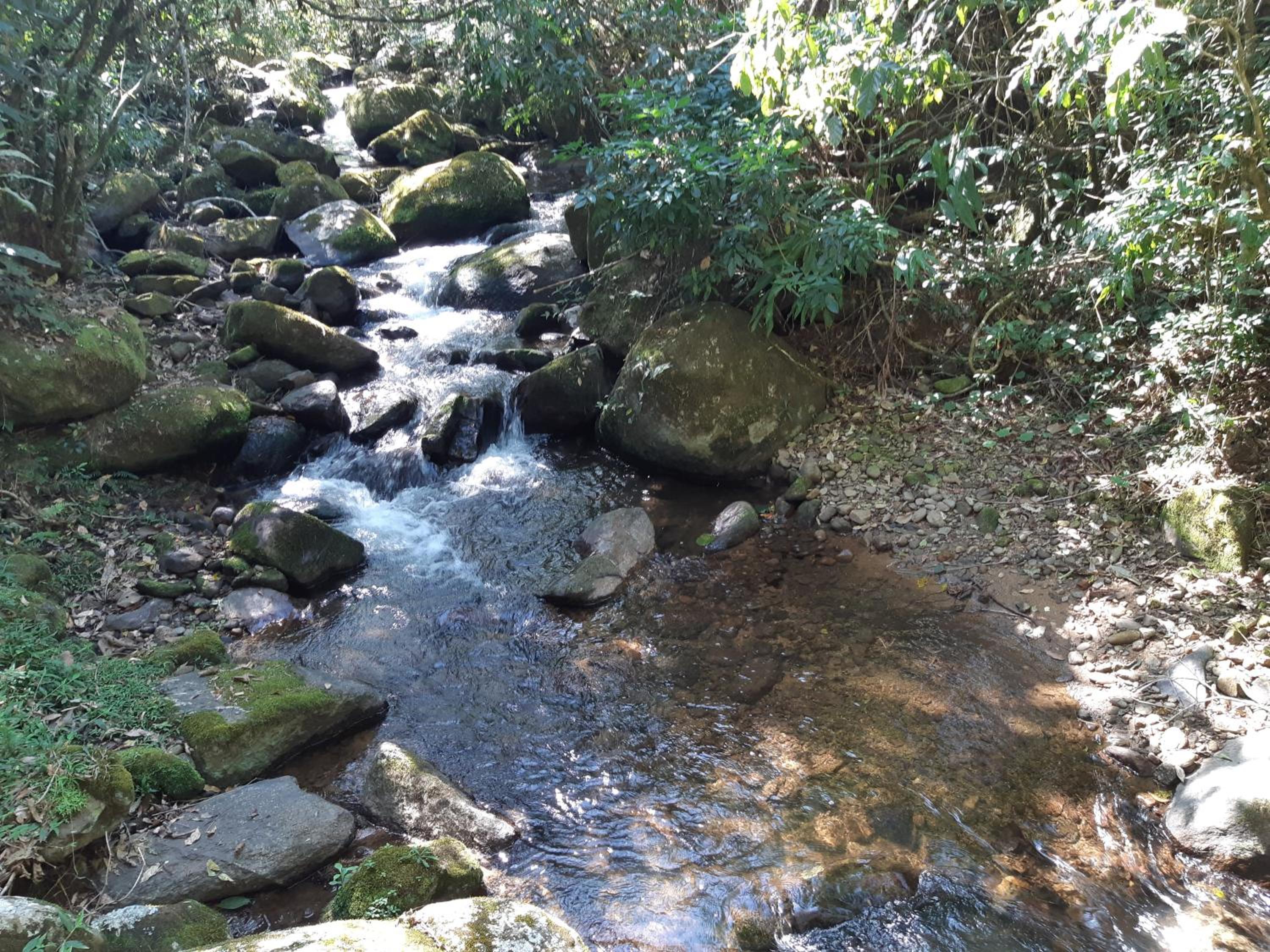 Chalé Aconchegante, Paz e Natureza