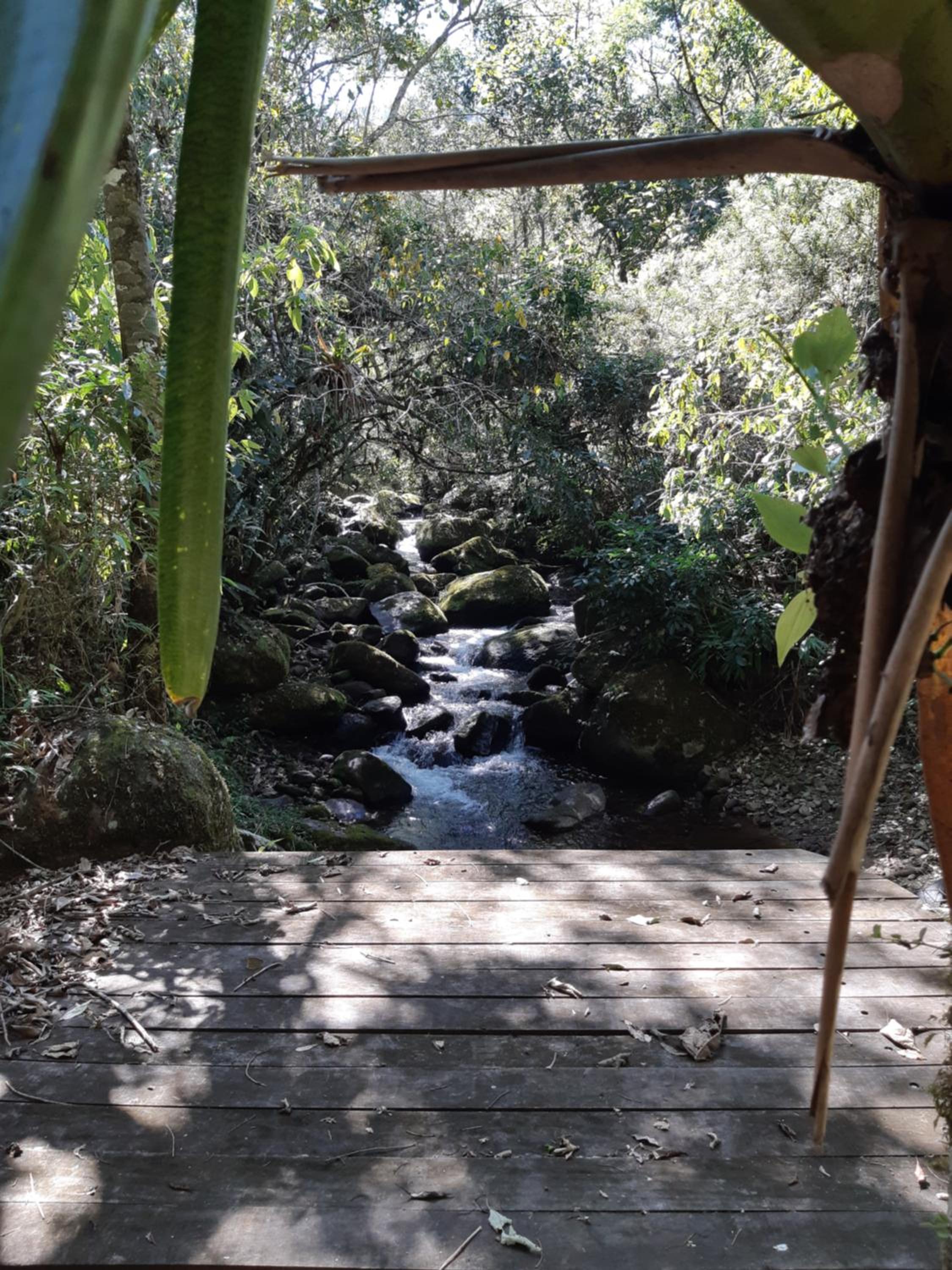 Chalé Aconchegante, Paz e Natureza