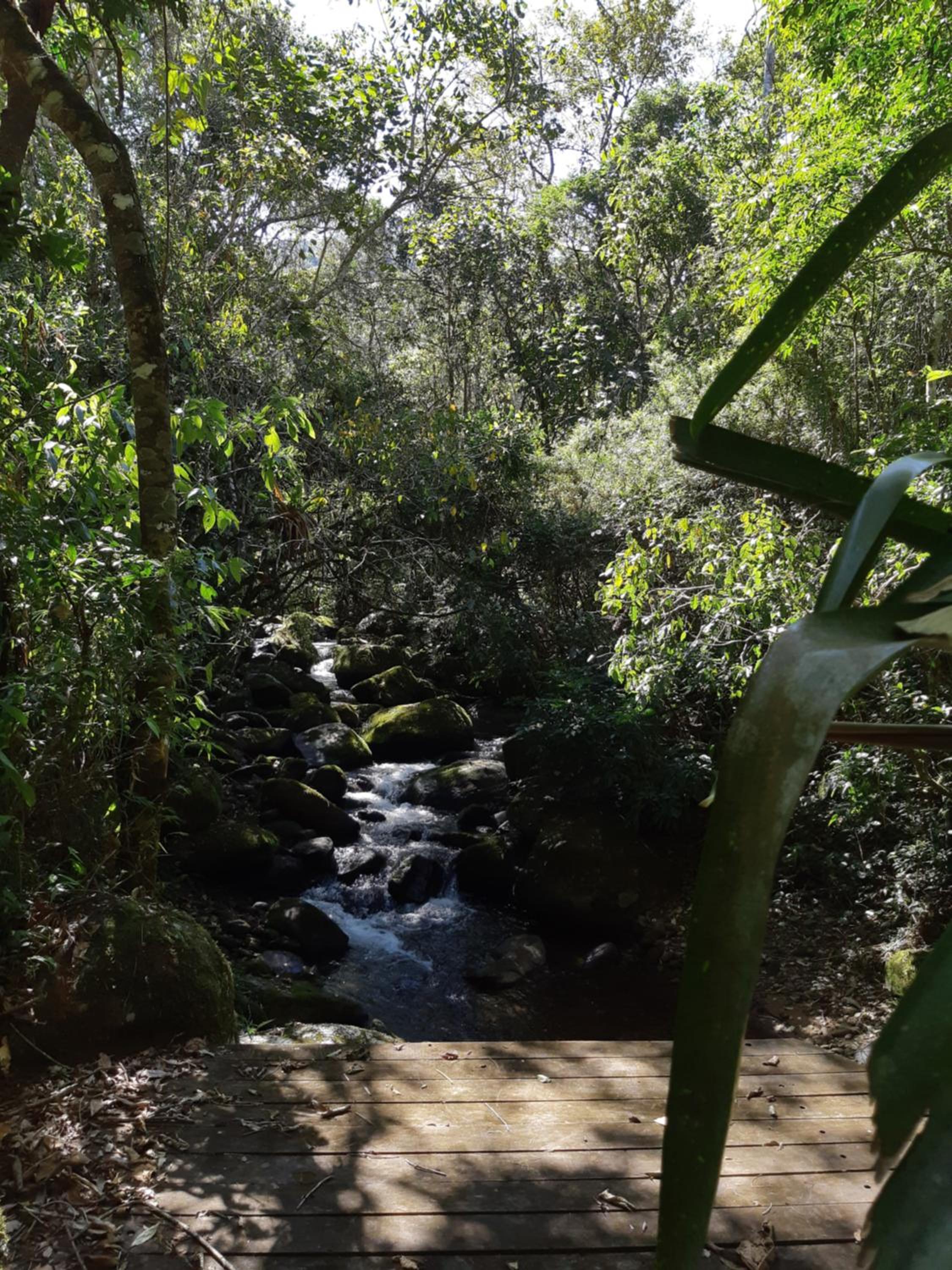 Chalé Aconchegante, Paz e Natureza