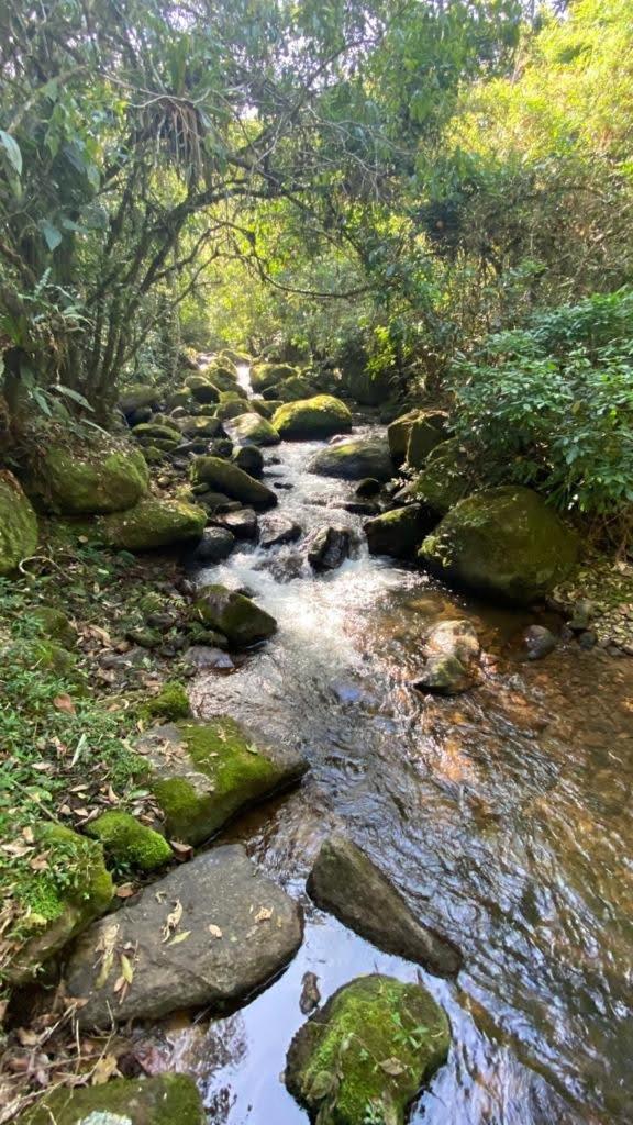 Chalé Aconchegante, Paz e Natureza