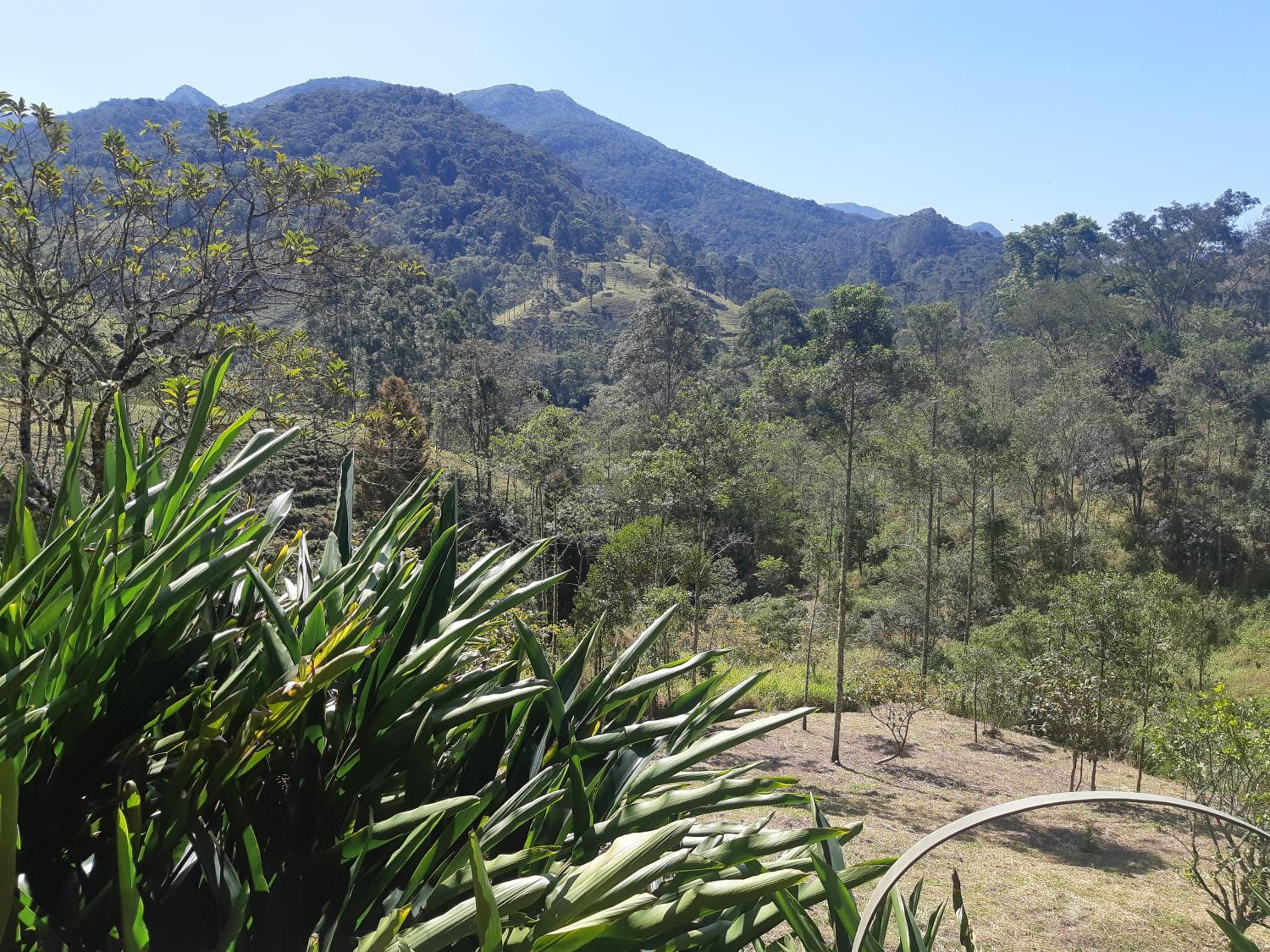 Chalé Aconchegante, Paz e Natureza
