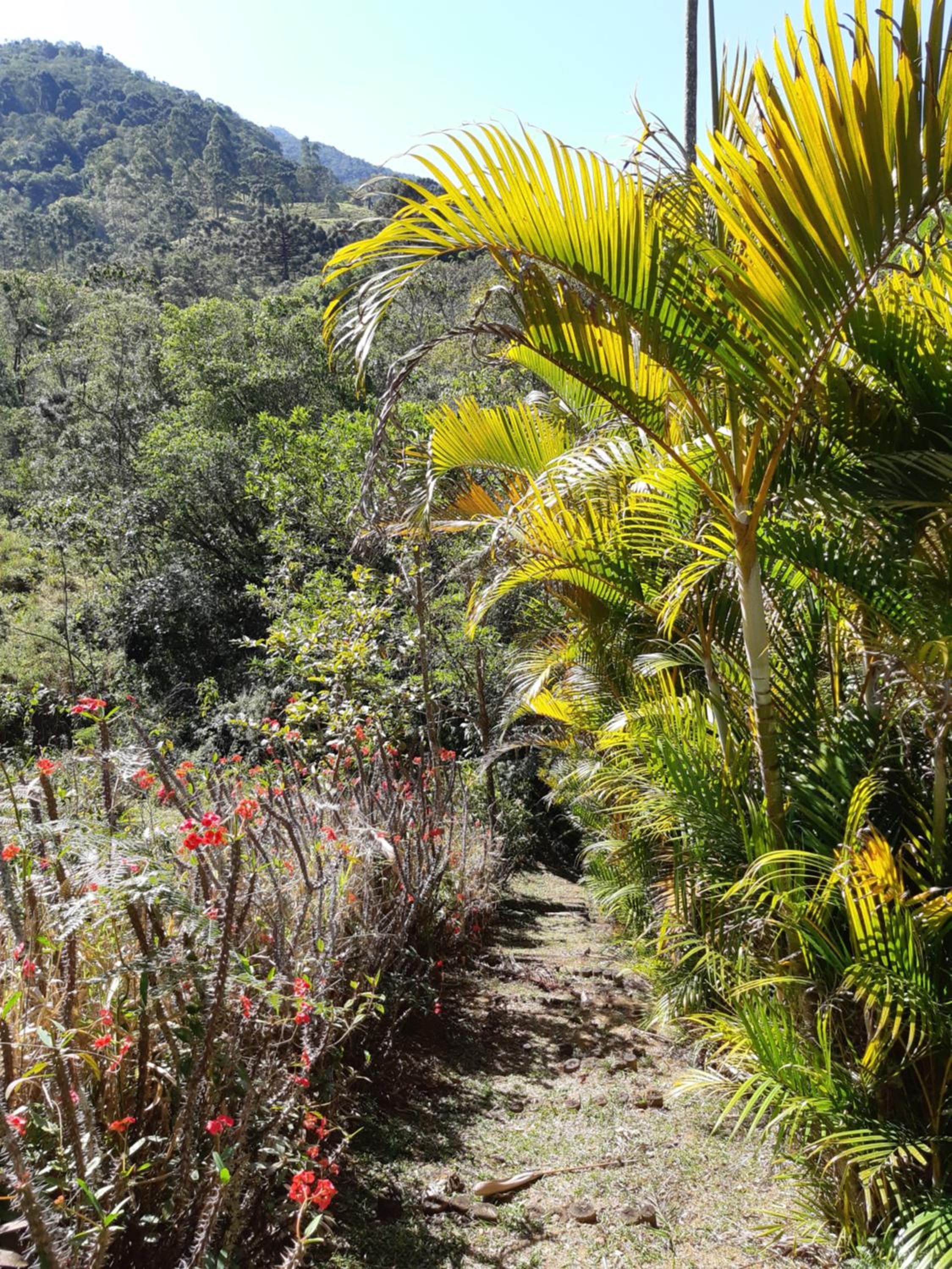 Chalé Aconchegante, Paz e Natureza