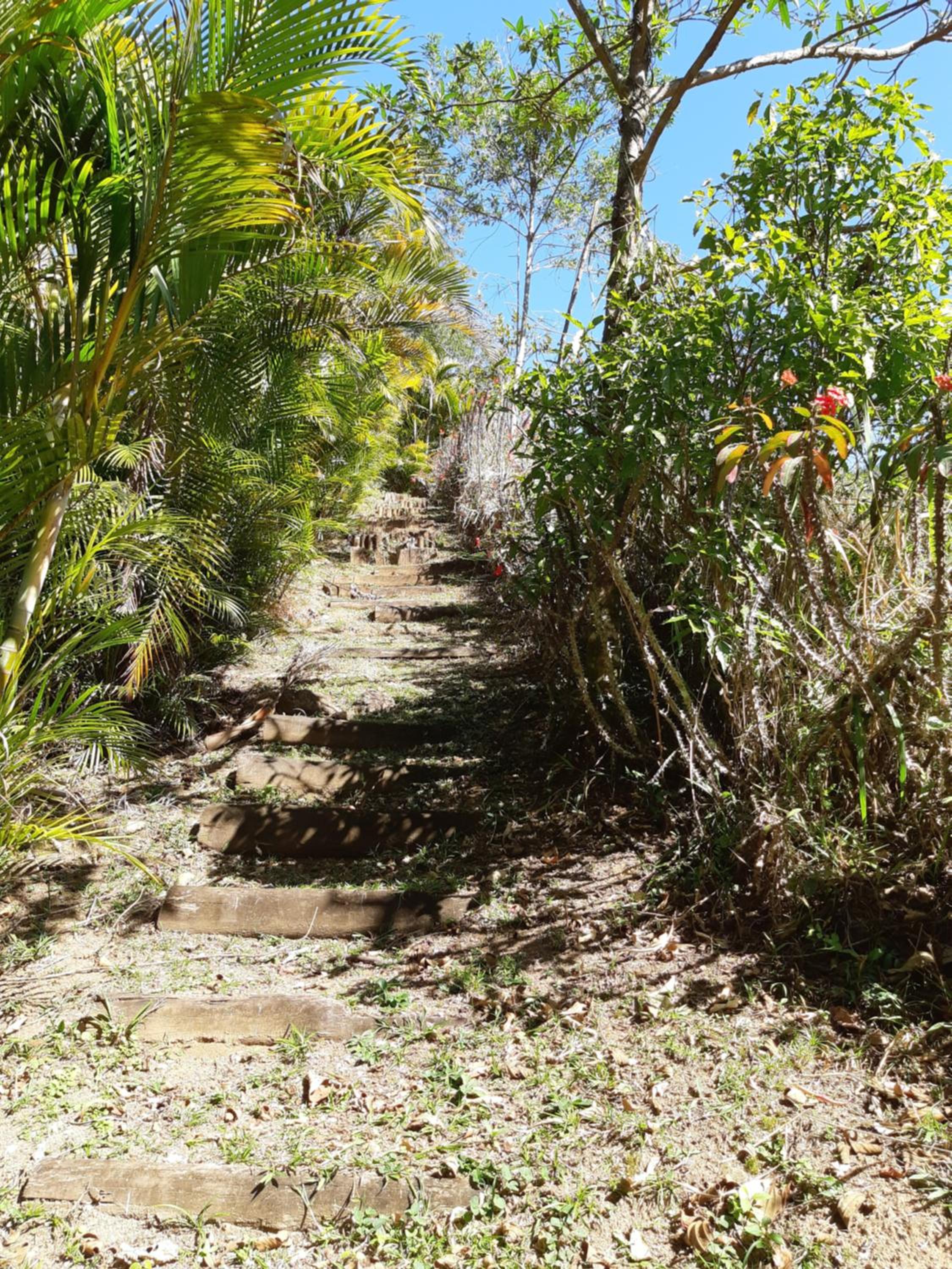 Chalé Aconchegante, Paz e Natureza