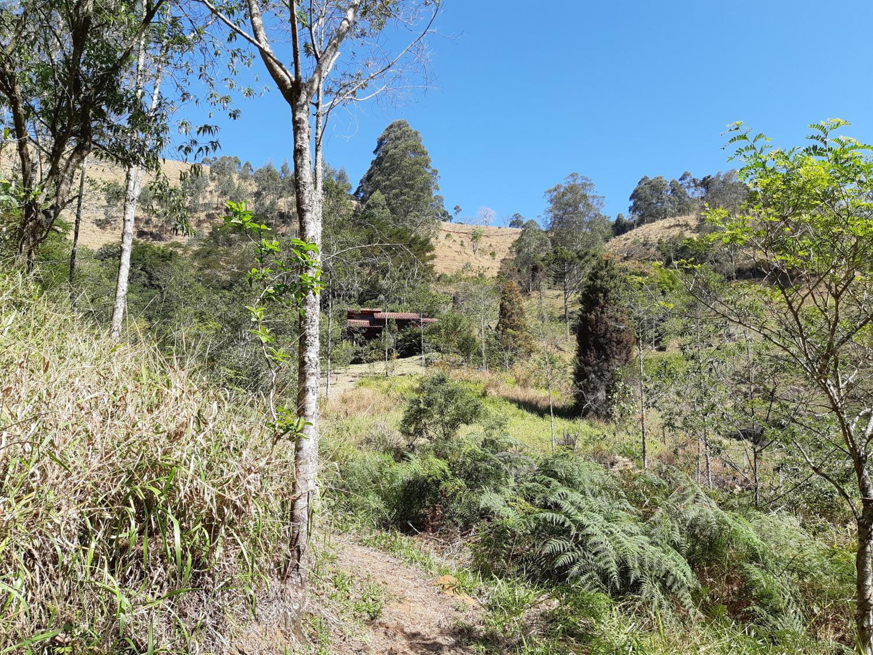 Chalé Aconchegante, Paz e Natureza