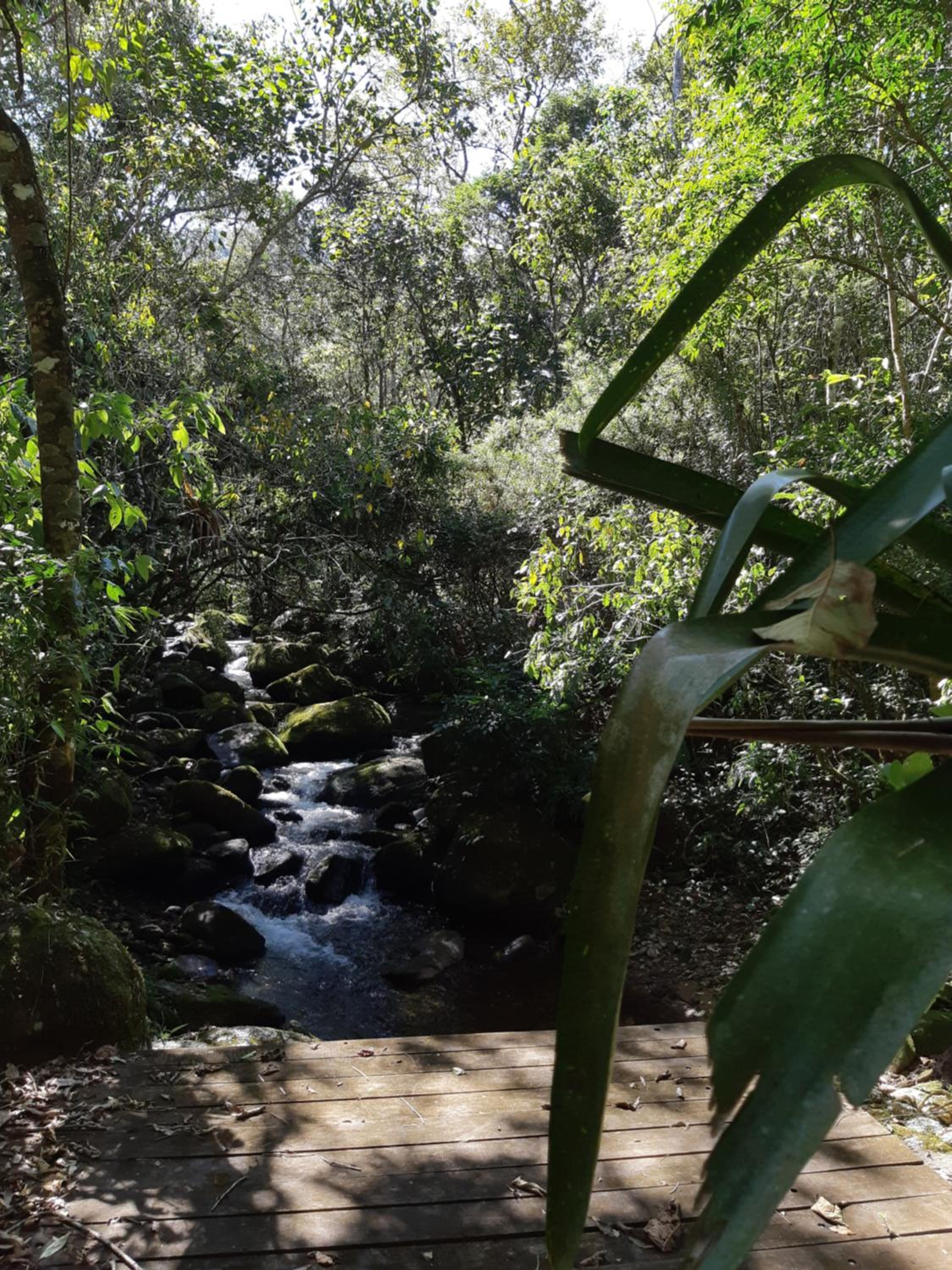 Chalé Aconchegante, Paz e Natureza