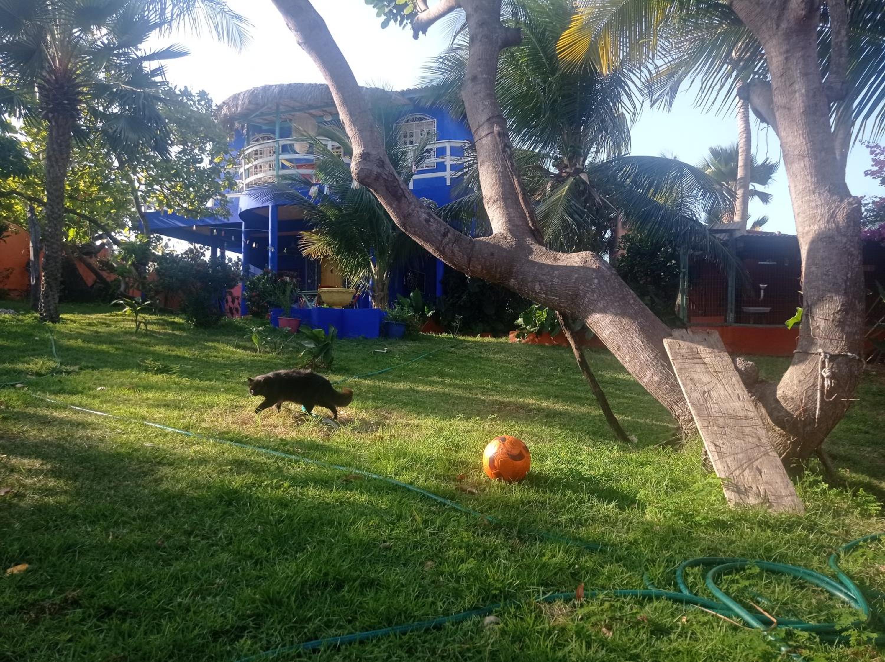 Beautiful house 5 minutes on foot to centre, Wi-Fi, parking, kitchen