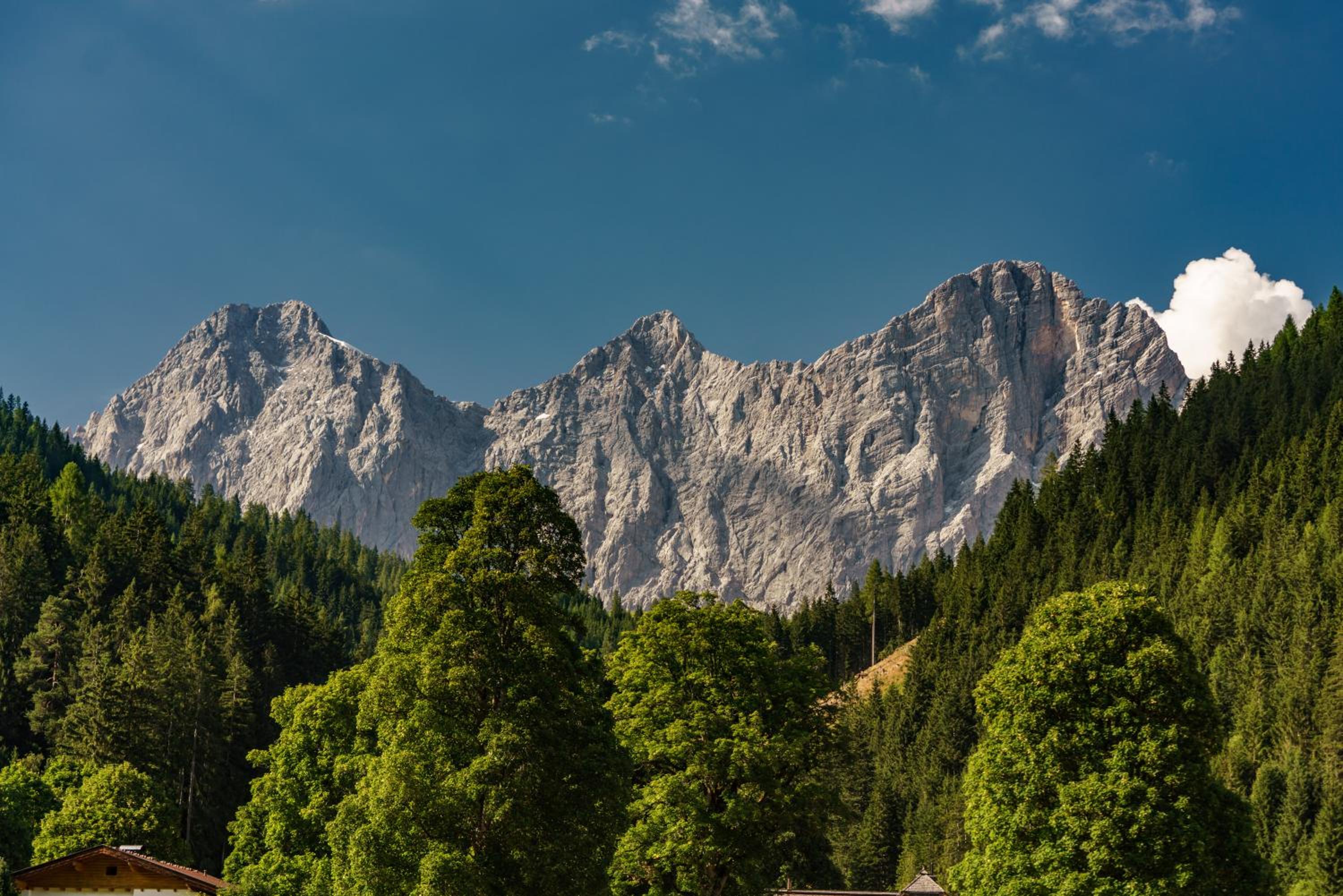 Alpenrose Boutique Chalet Gretl