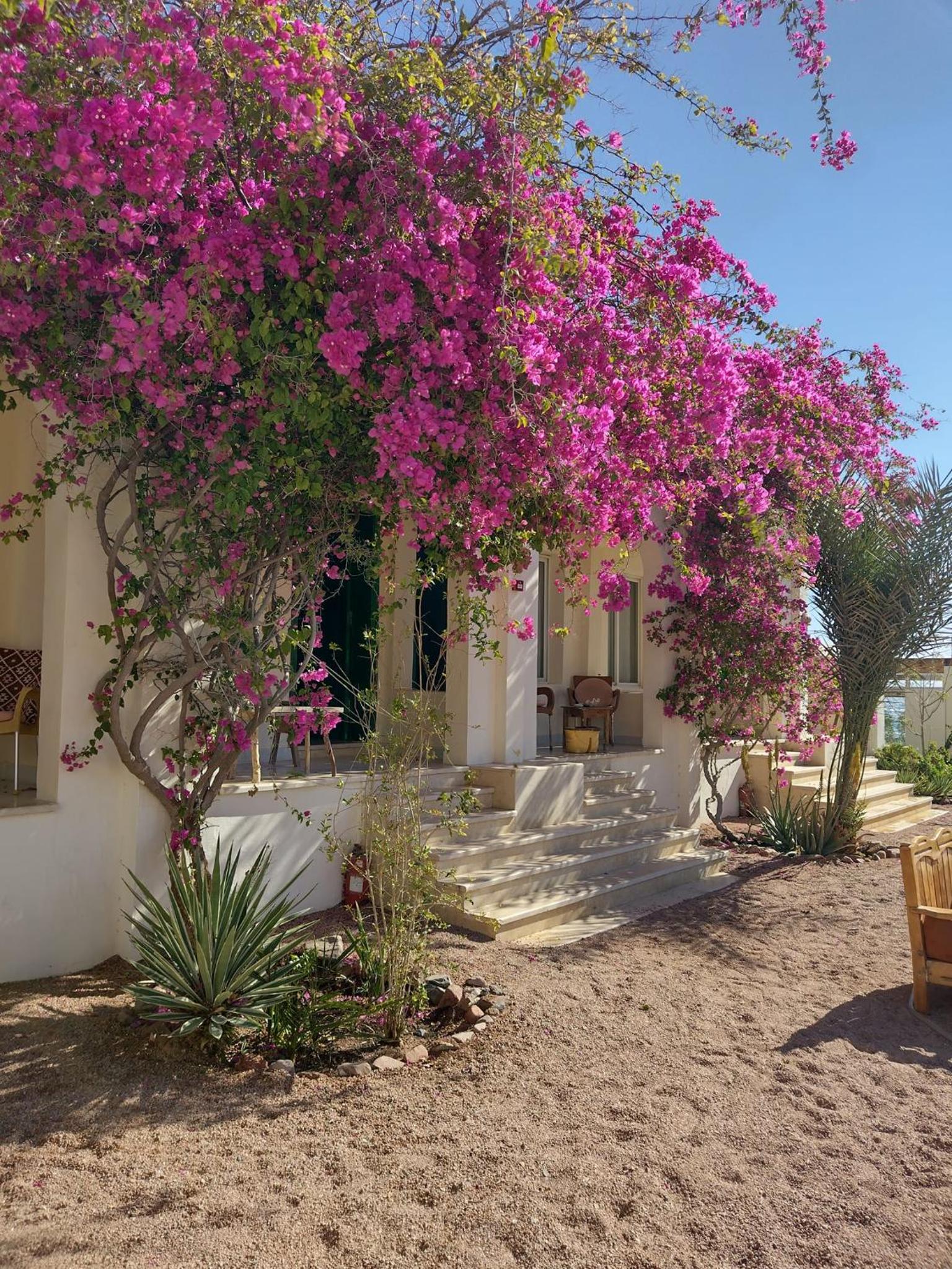 Hotel Marine Garden Camp - Image 1