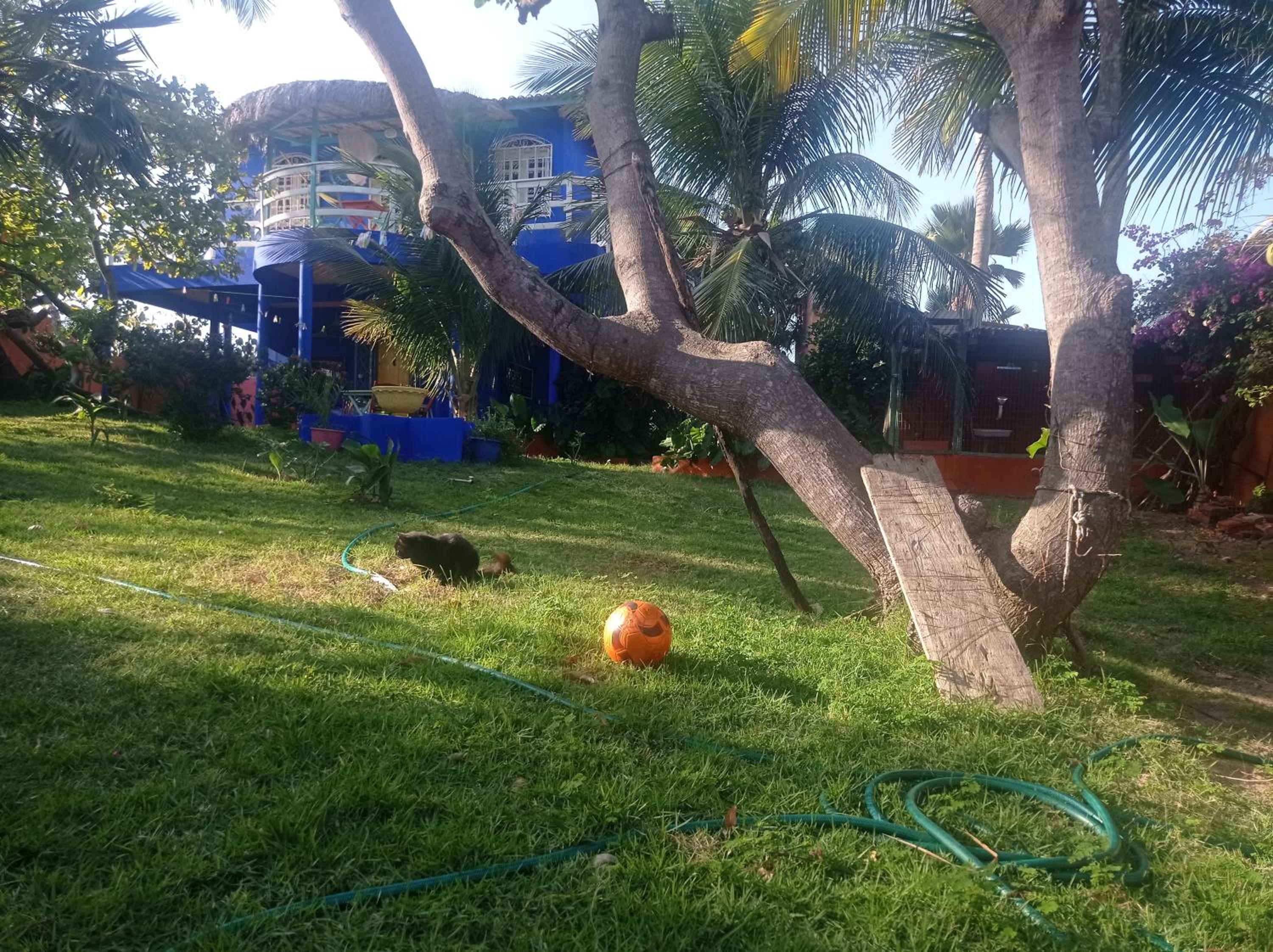 Mermaid House, kitchen, Wi-Fi, parking, centre 5 minutes on foot and near Sunset Dune