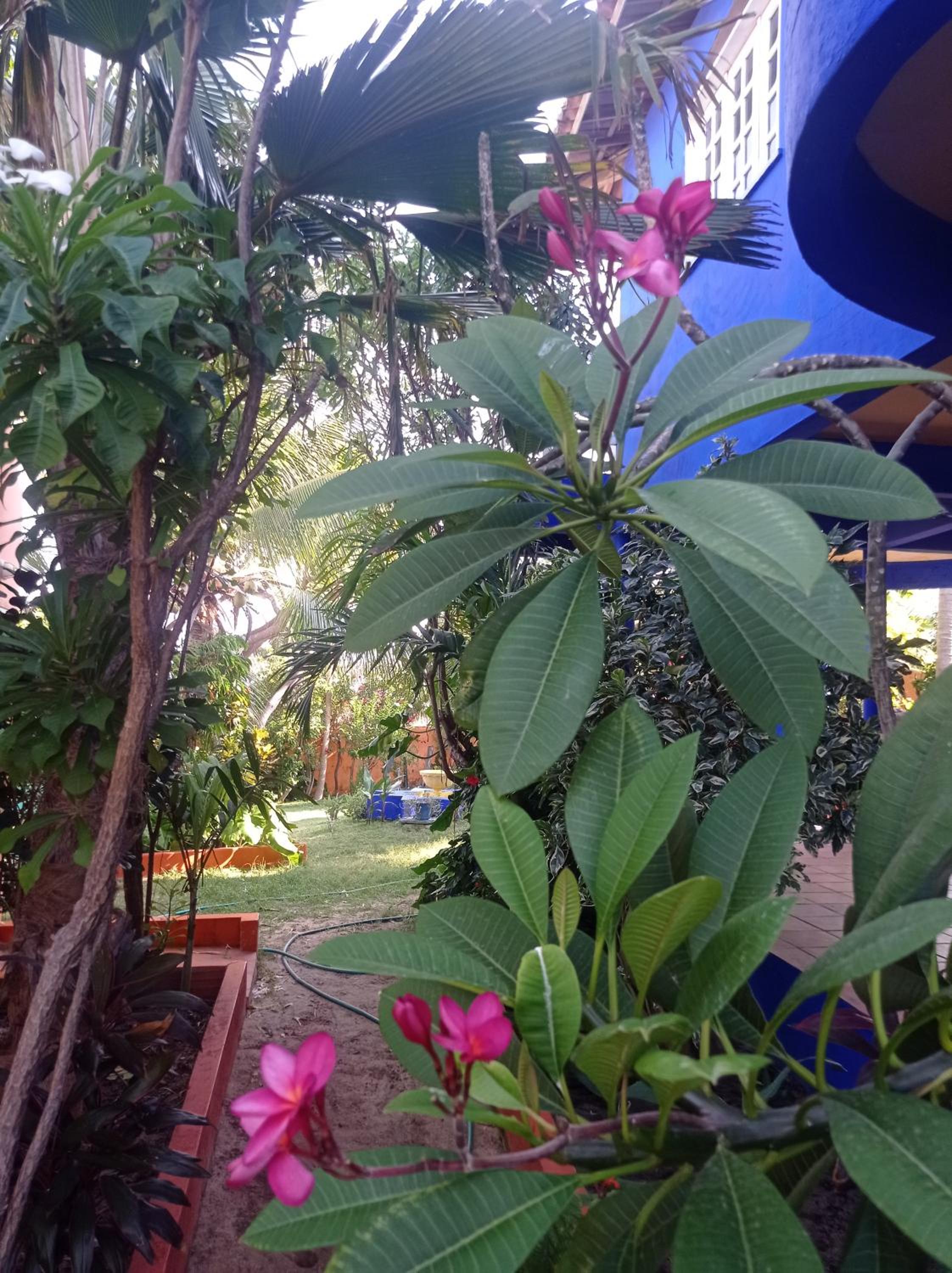 Mermaid House, kitchen, Wi-Fi, parking, centre 5 minutes on foot and near Sunset Dune