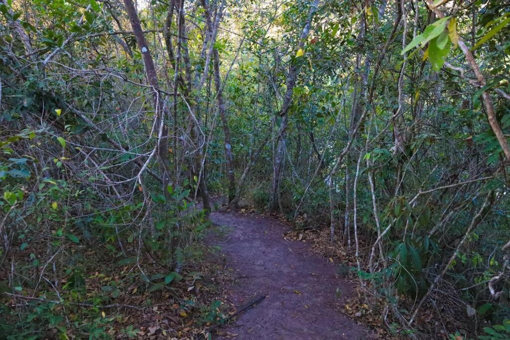 sítio da Dinha em Diamantina MG