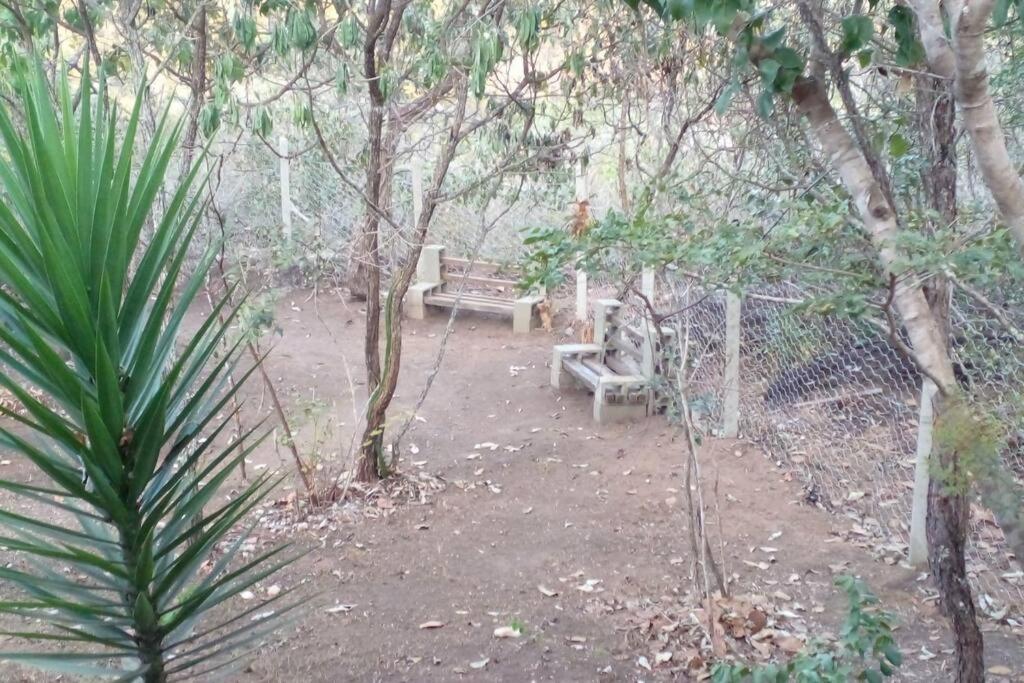 sítio da Dinha em Diamantina MG