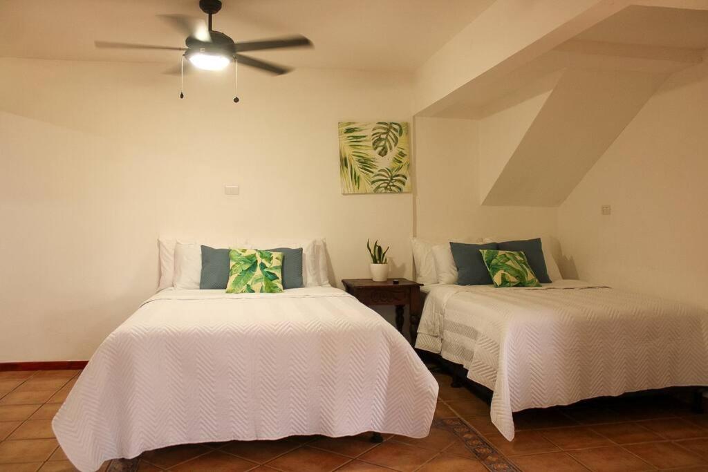 Villa Dankers : Cozy downtown & beach studio