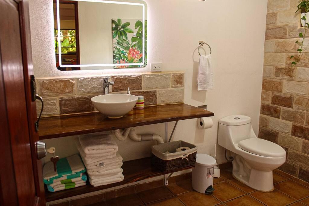 Villa Dankers : Cozy downtown & beach studio