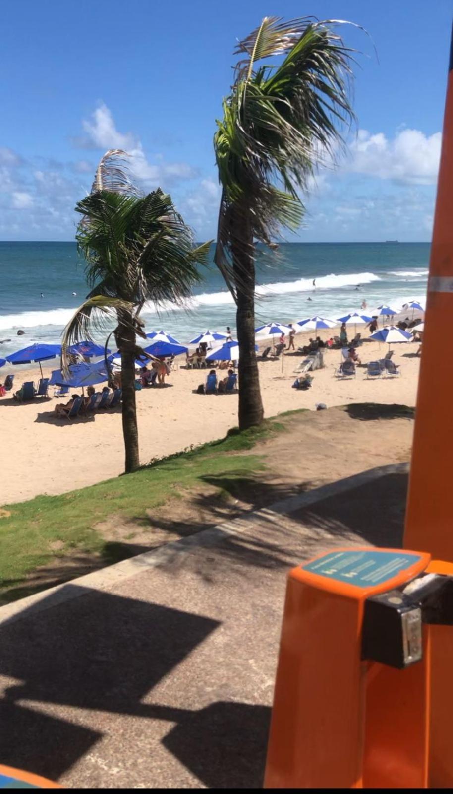 Apt a 5 minutos do circuito do carnaval