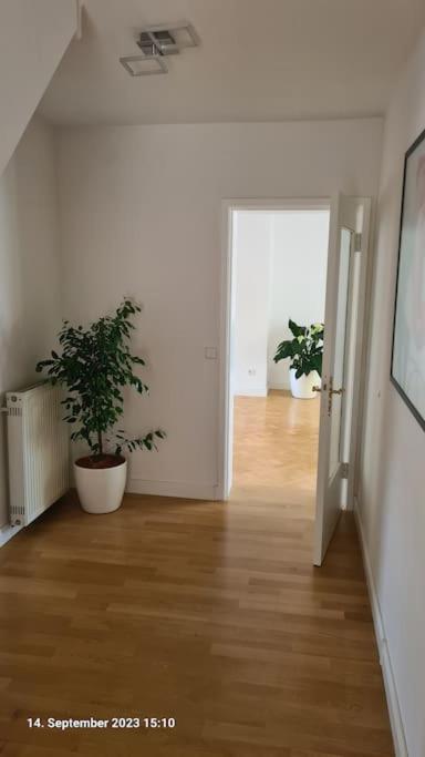 Modernes Apartment mit 3 Zimmern