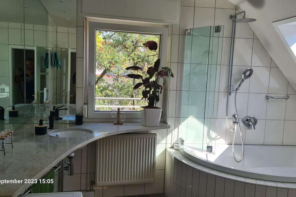 Modernes Apartment mit 3 Zimmern