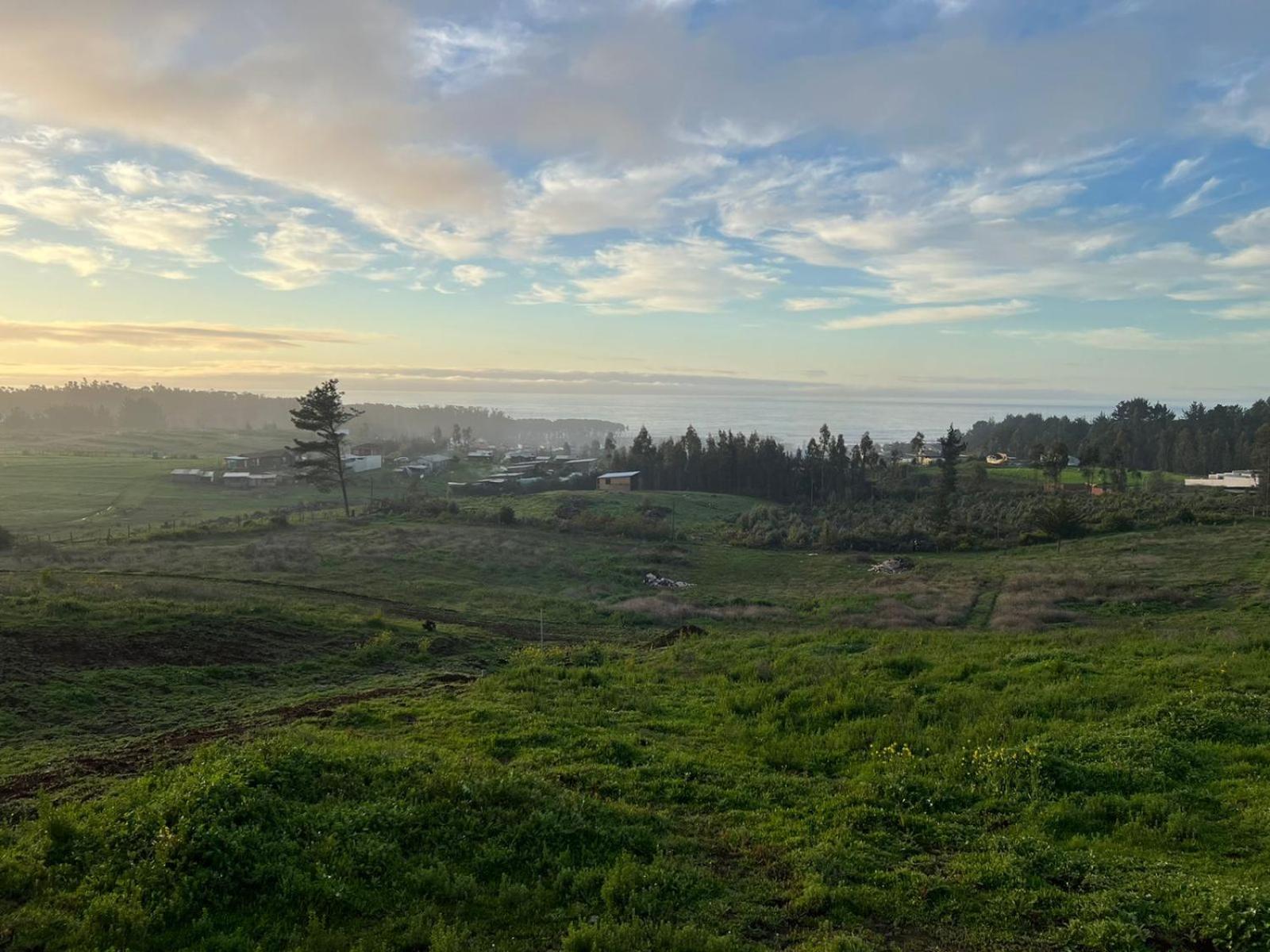 Cabañas Santa Elena, Curanipe