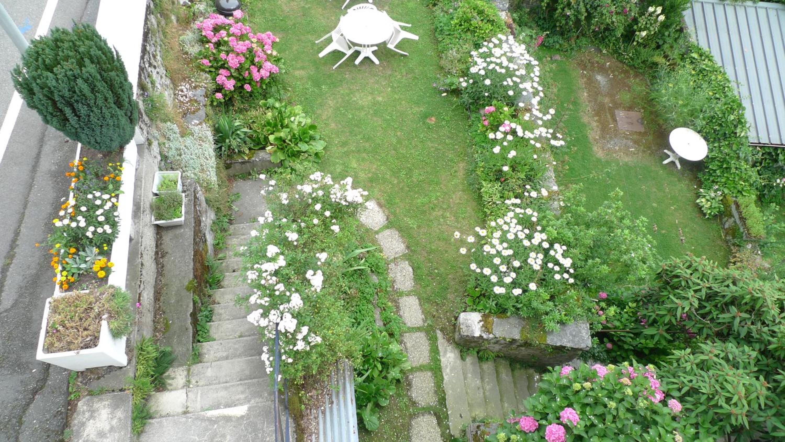Photo 38