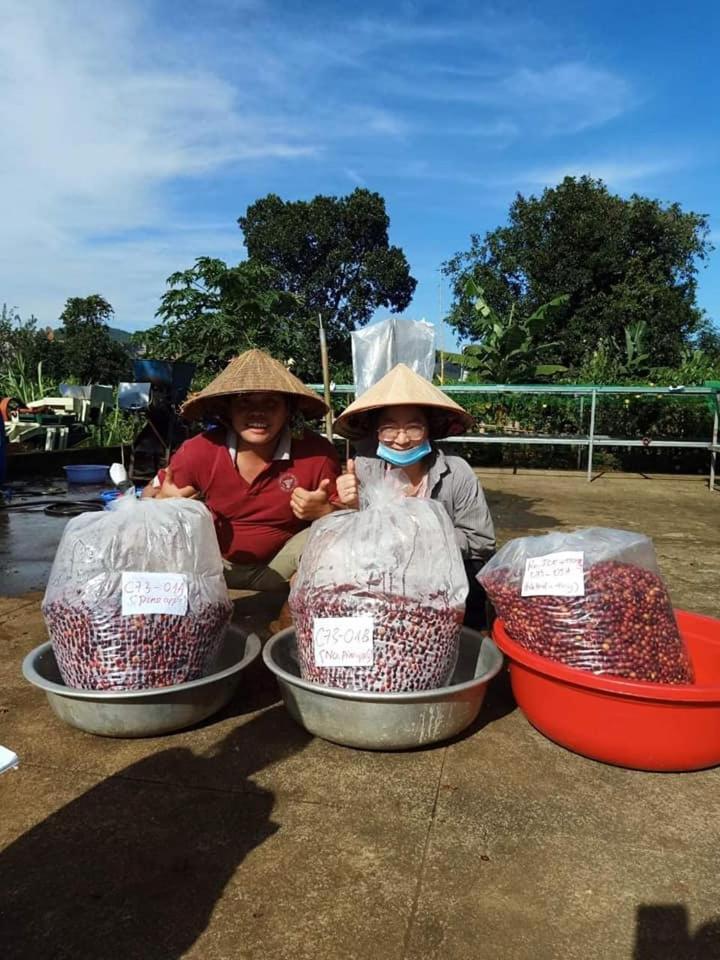 Elon Coffee Farmstay