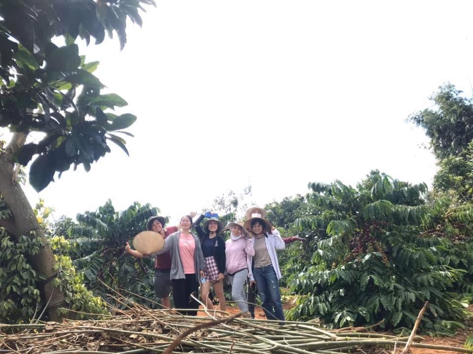 Elon Coffee Farmstay