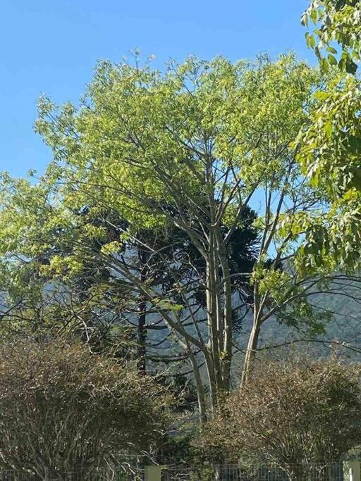 Morada do Campo