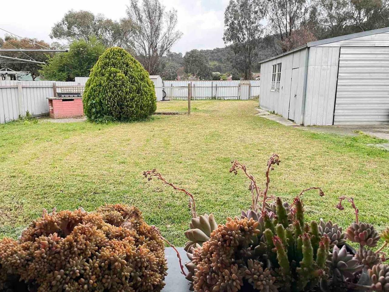 Pet friendly home in Albury
