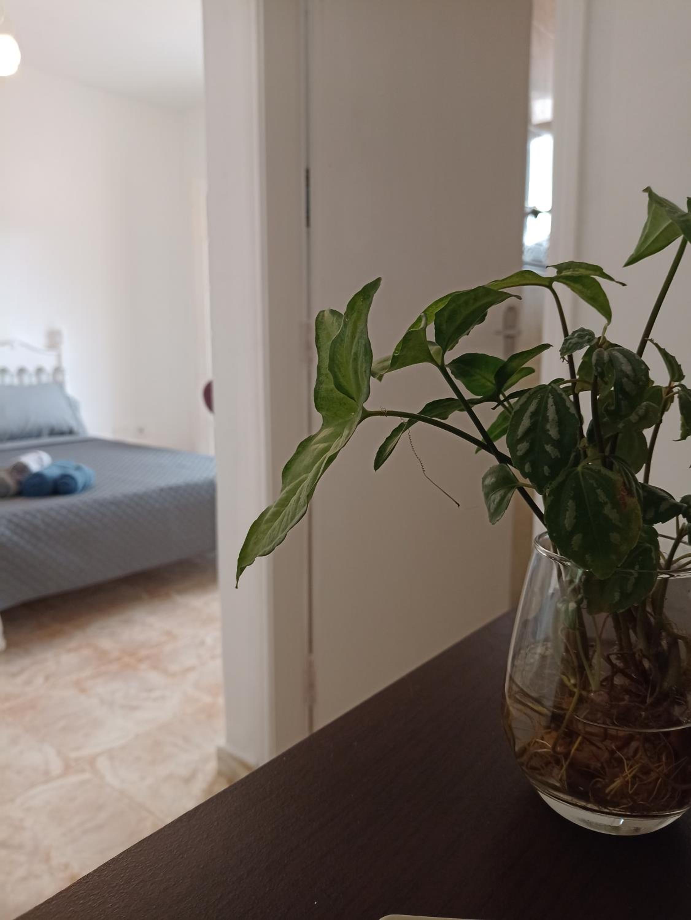 Quinta essência suites e chalés