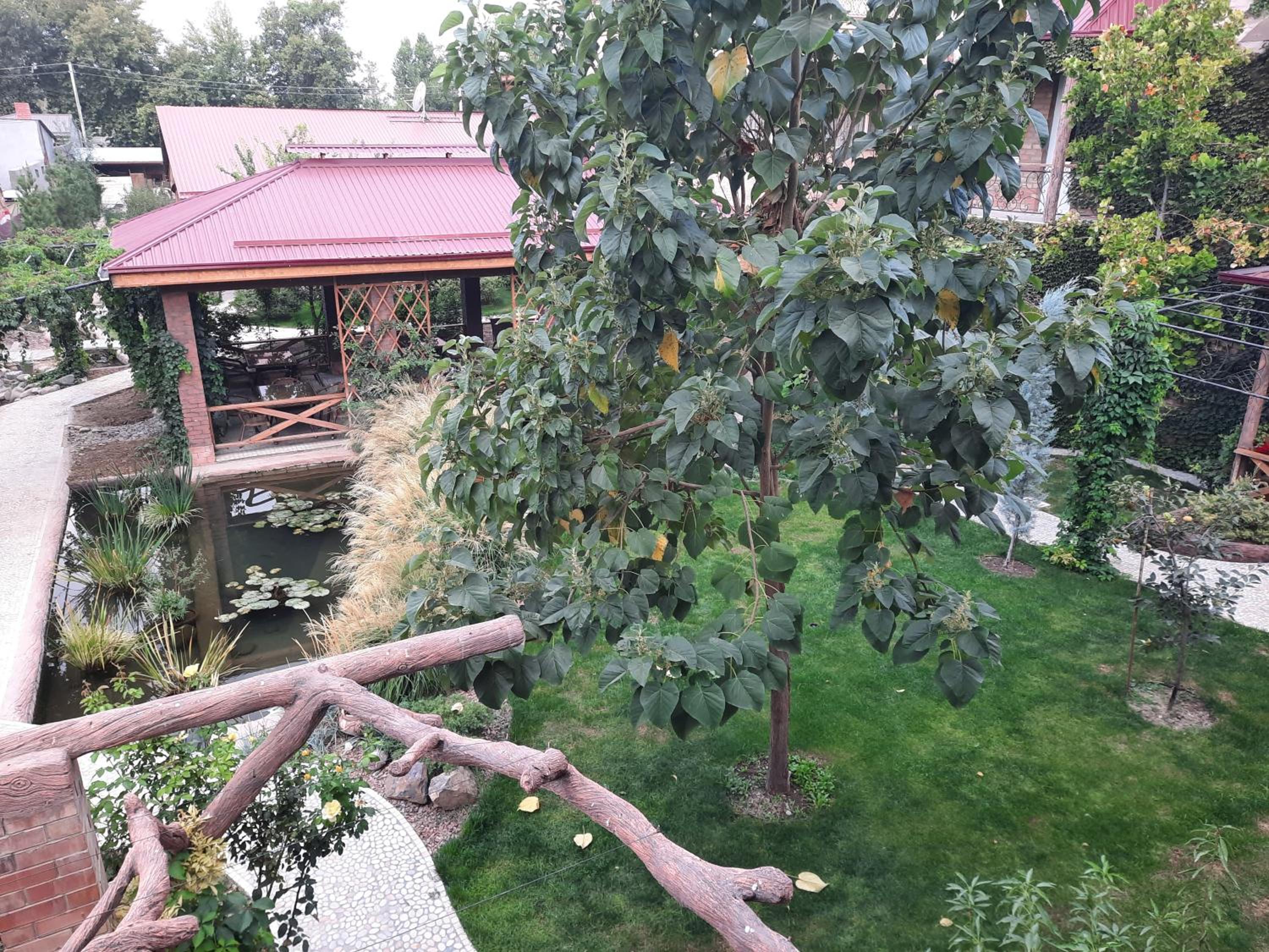 Pan Asiat view 5