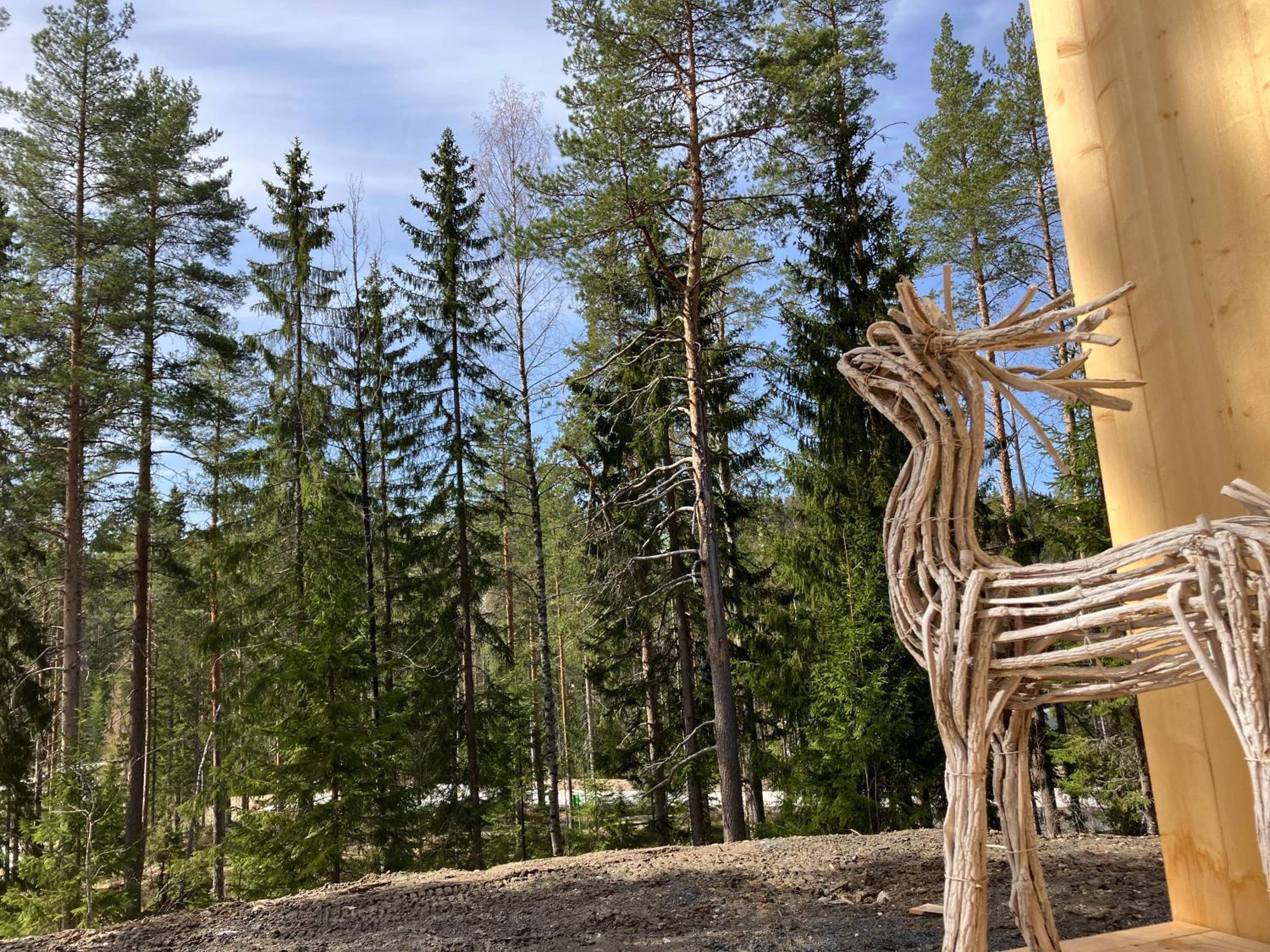Havu Resort Laajavuori - Luksushuvila keskellä suomalaista metsää, Jyväskylä view 4