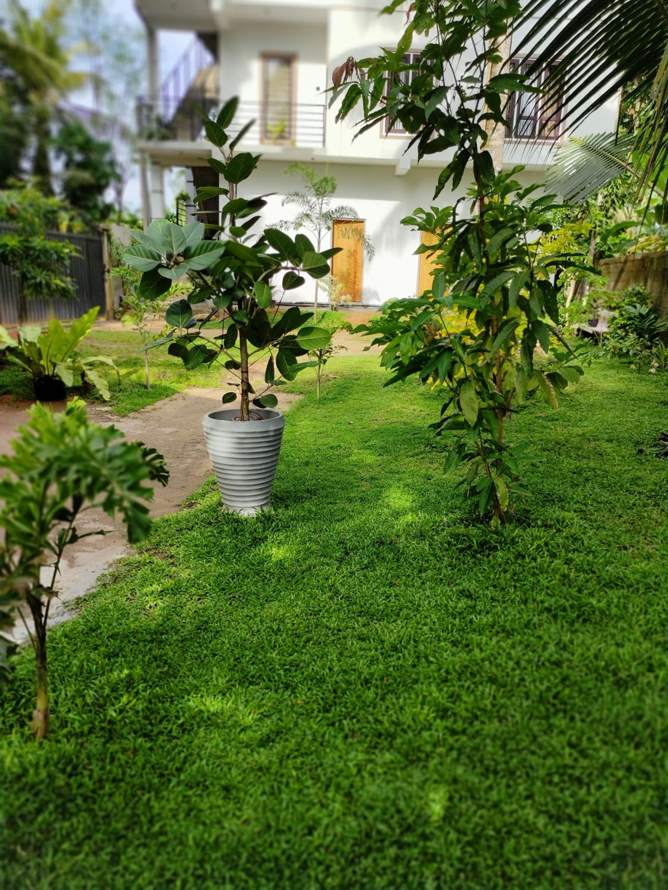 Photo 36