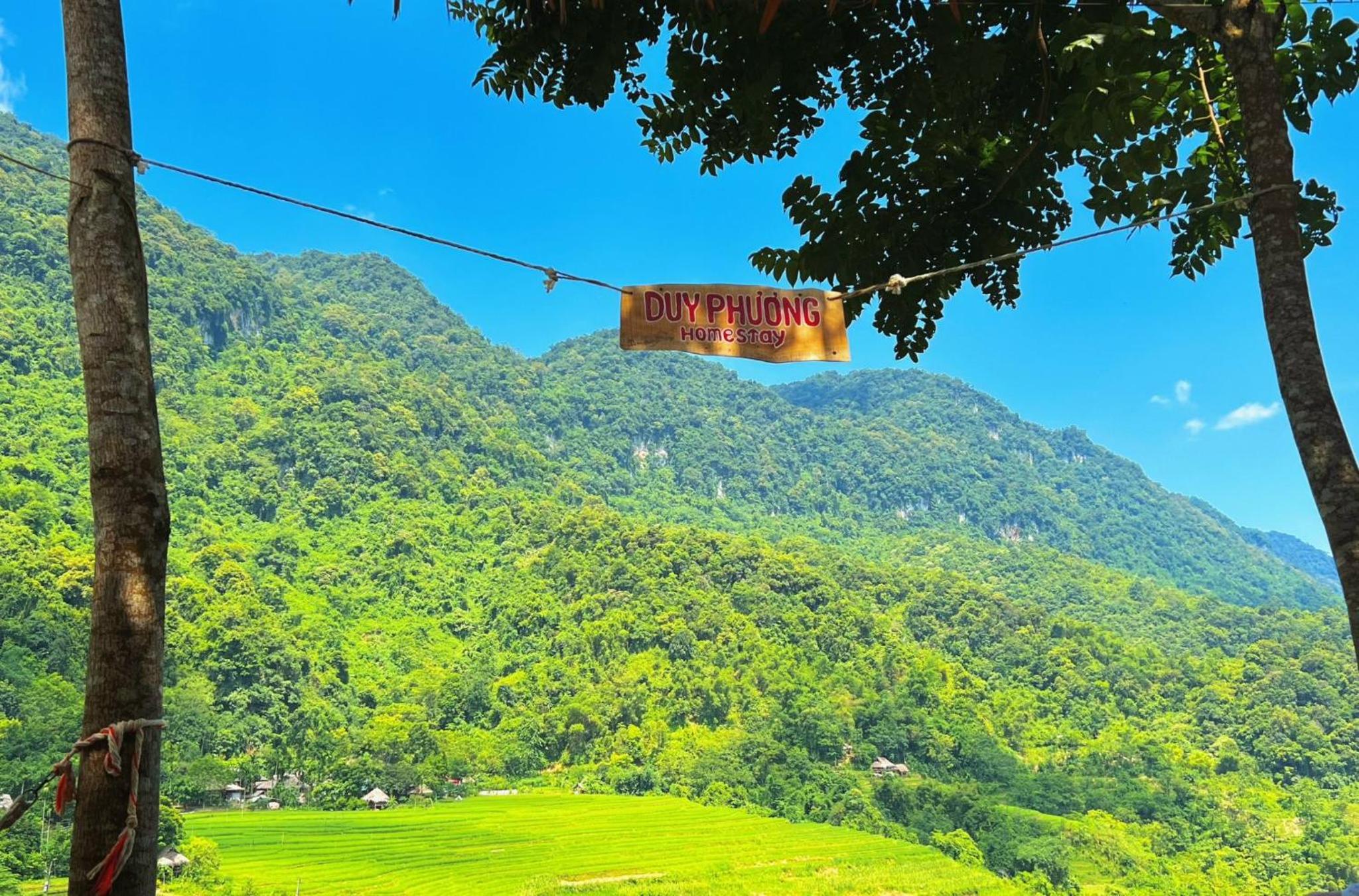Pu Luong - Duy Phuong Homestay