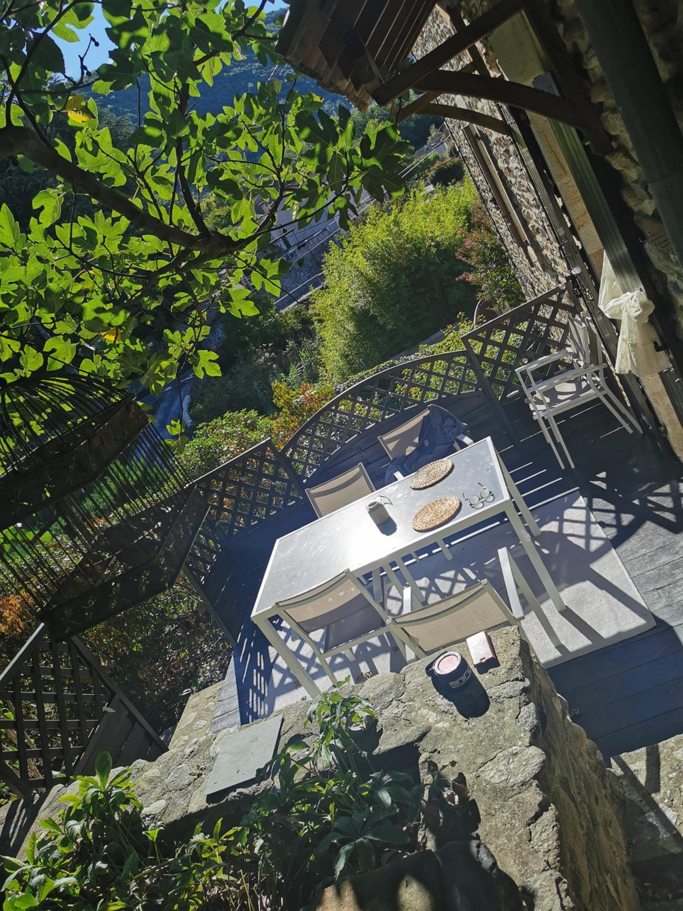Mes Maisons - Two Gites with Private and Shared pools in Cévennes