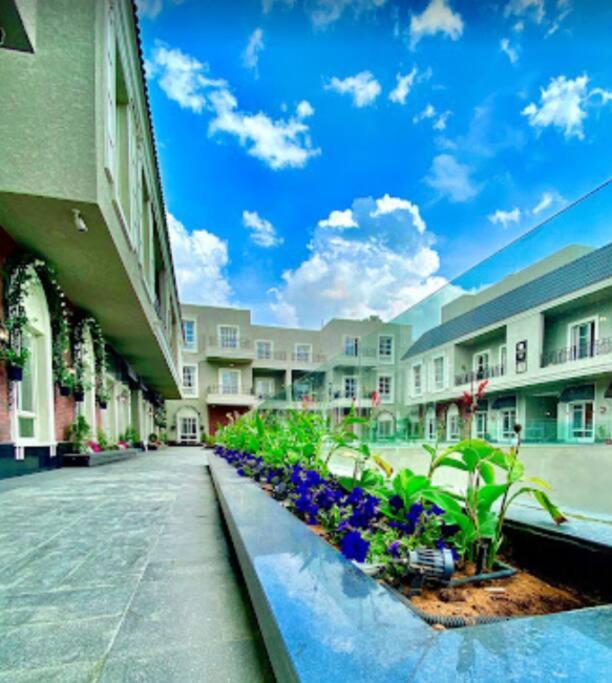 great luxary apt in almajdeah with roof