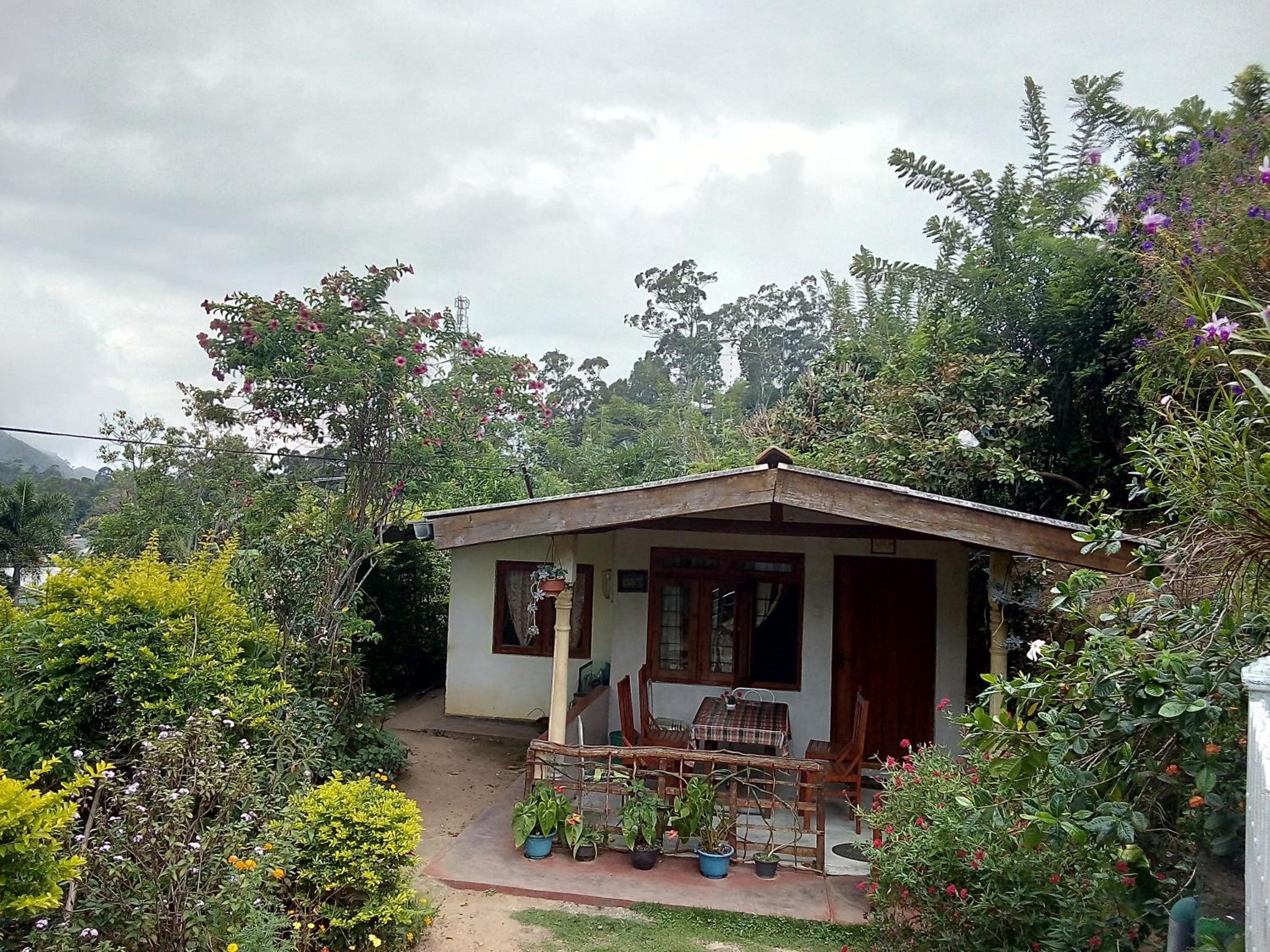 Photo 19