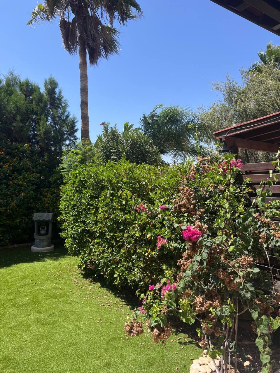 Serene Garden near sea