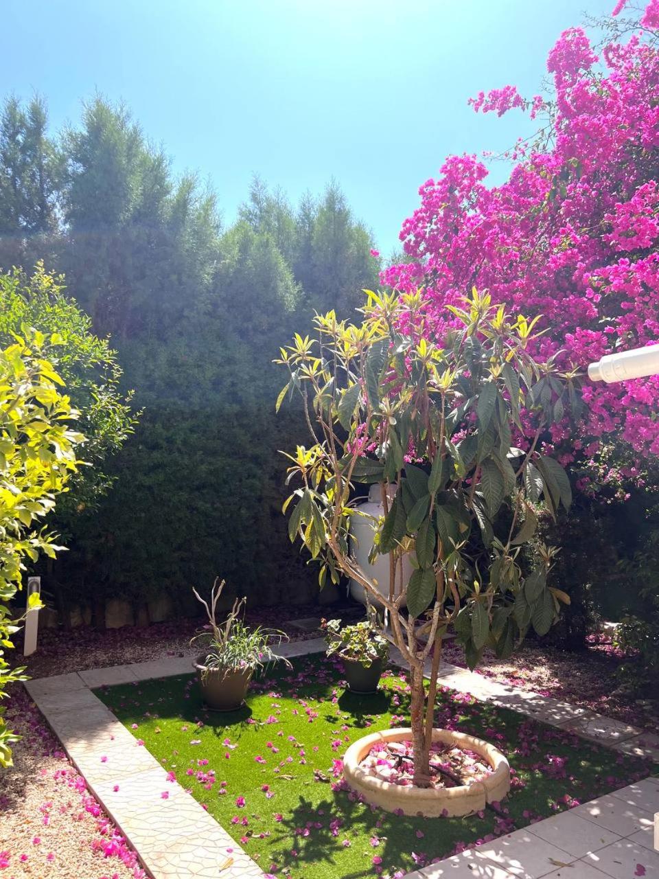 Serene Garden near sea