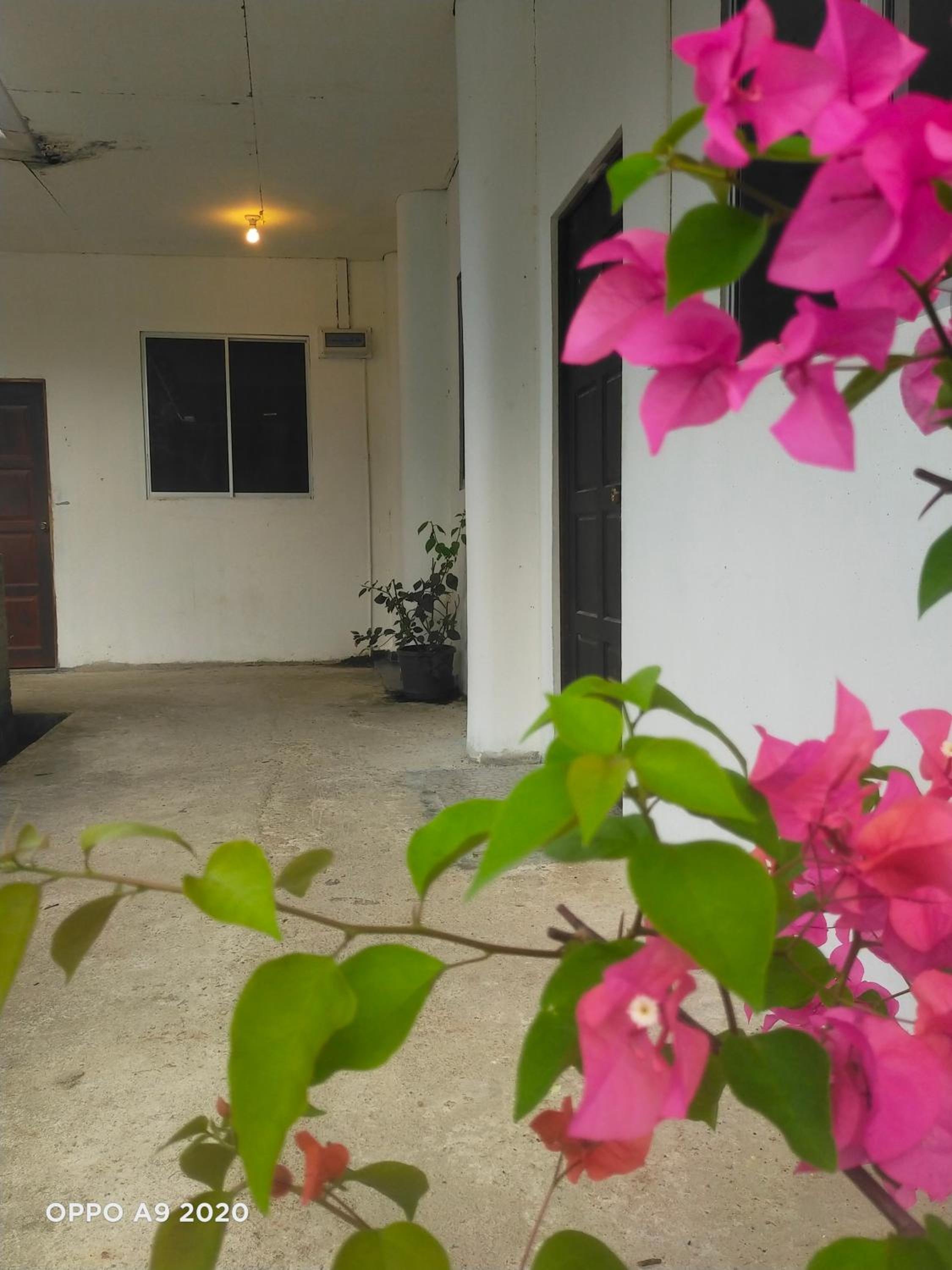 Sukau tomanggong view bed & breakfast photo 2