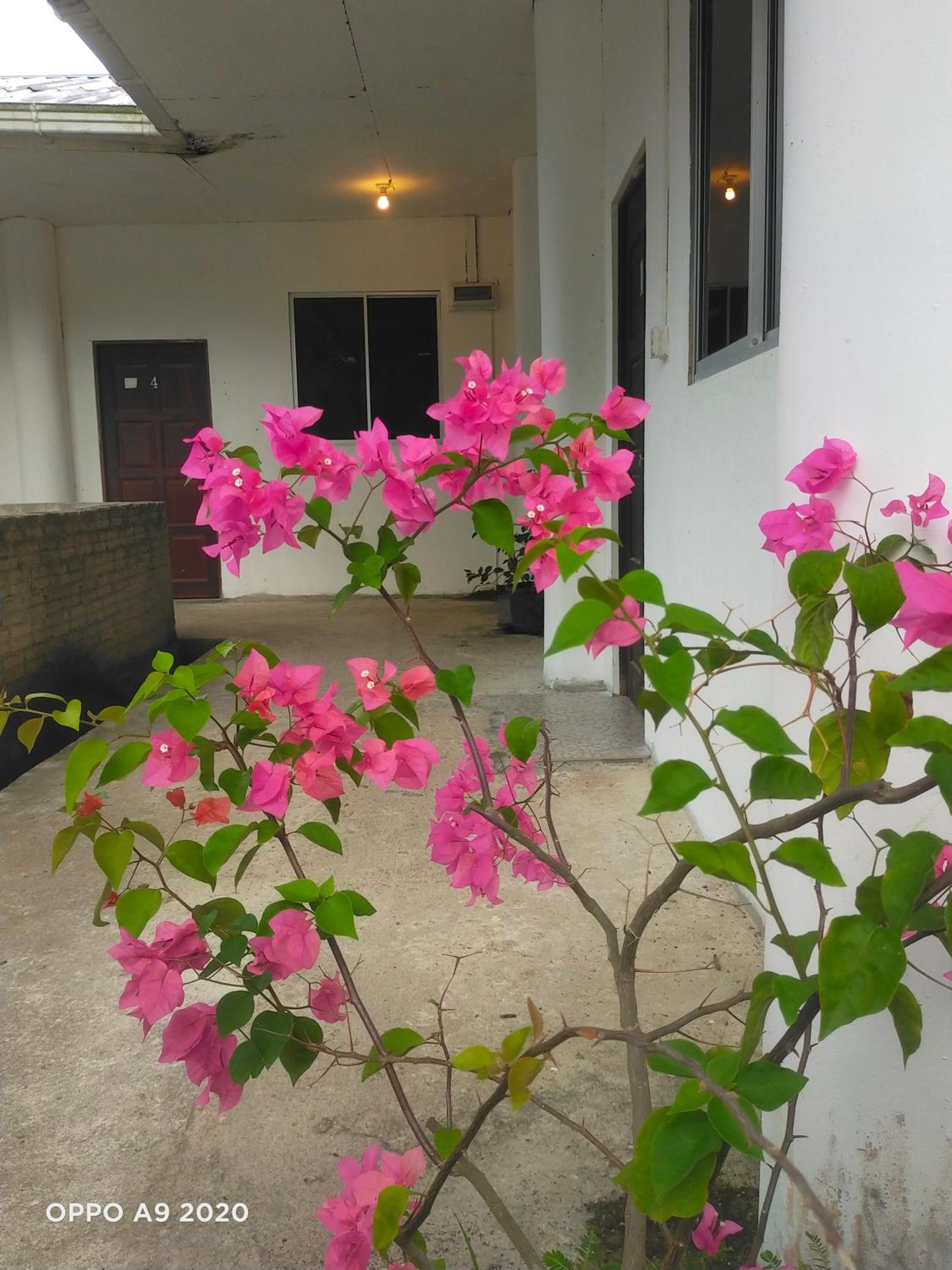 Sukau tomanggong view bed & breakfast photo 3