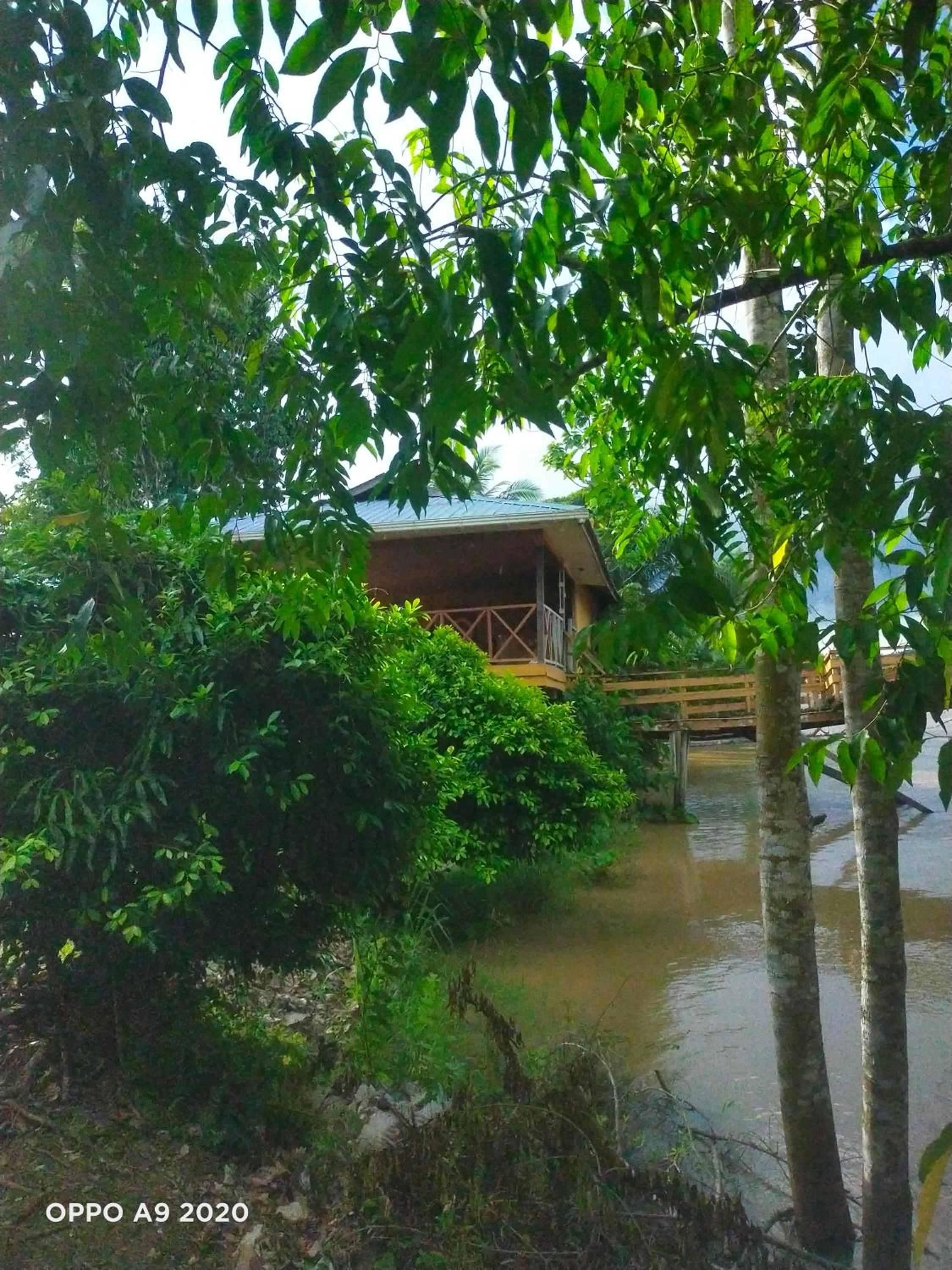 Sukau tomanggong view bed & breakfast photo 7