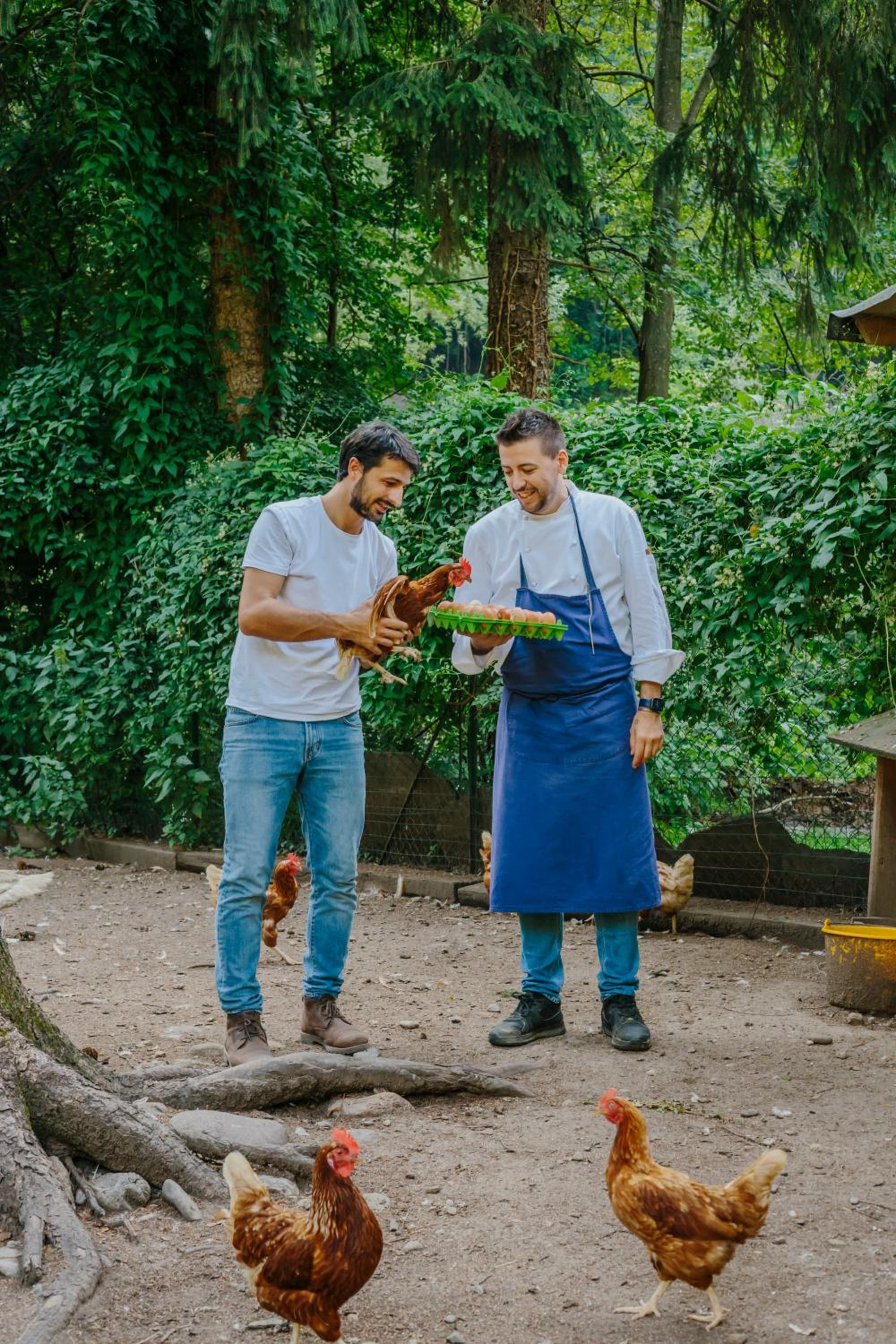 Agriturismo Ferdy