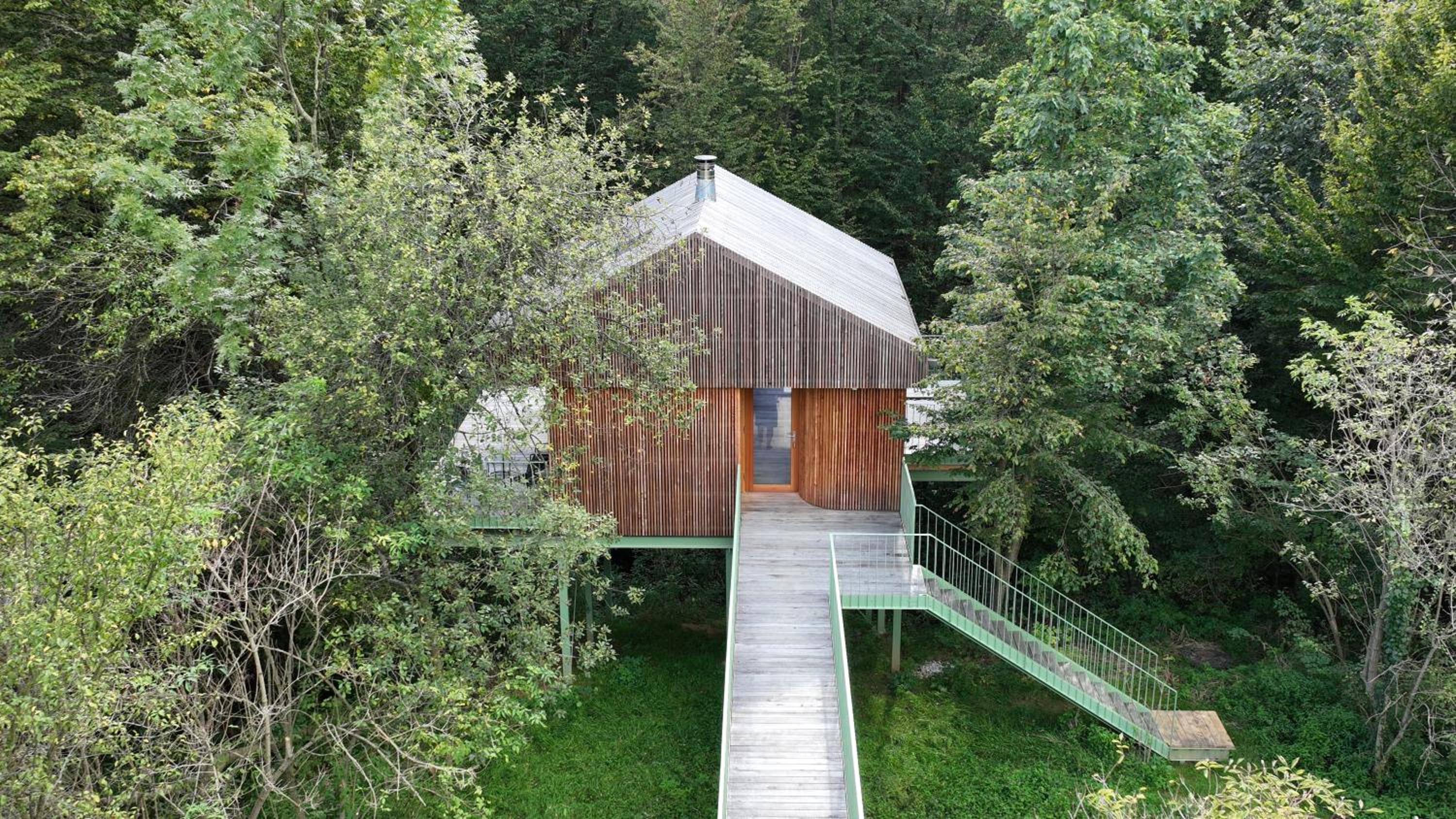 baumhaus buchengrün