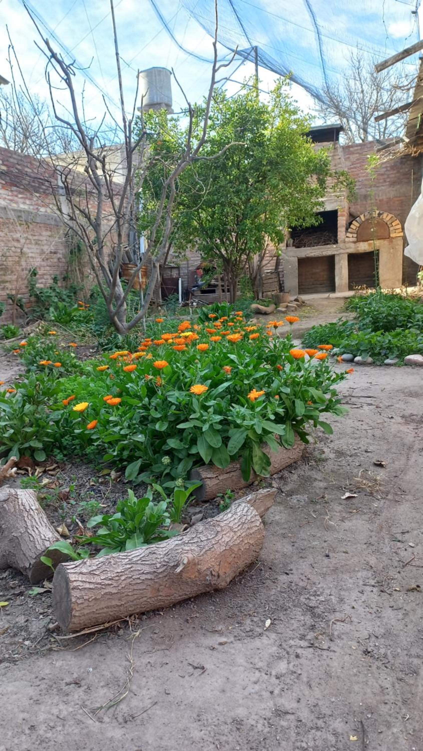 Casa Los Frutales San Rafael