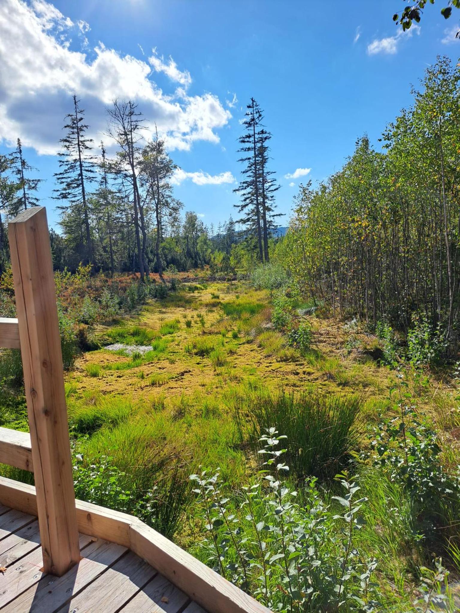 Ferienwohnung mit Infrarotsauna im Bayerischen Wald