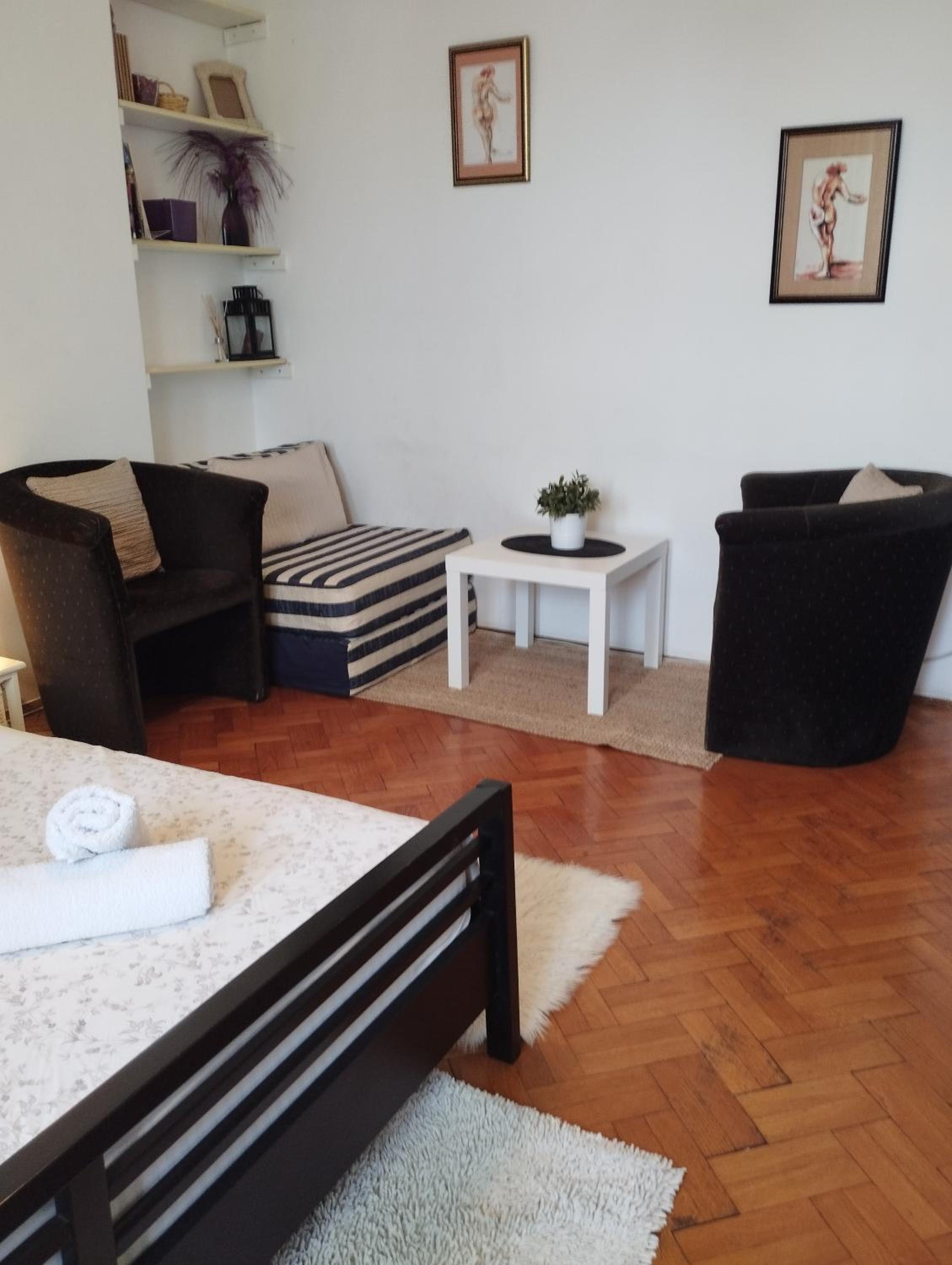 Apartman Centar Beograd view 5