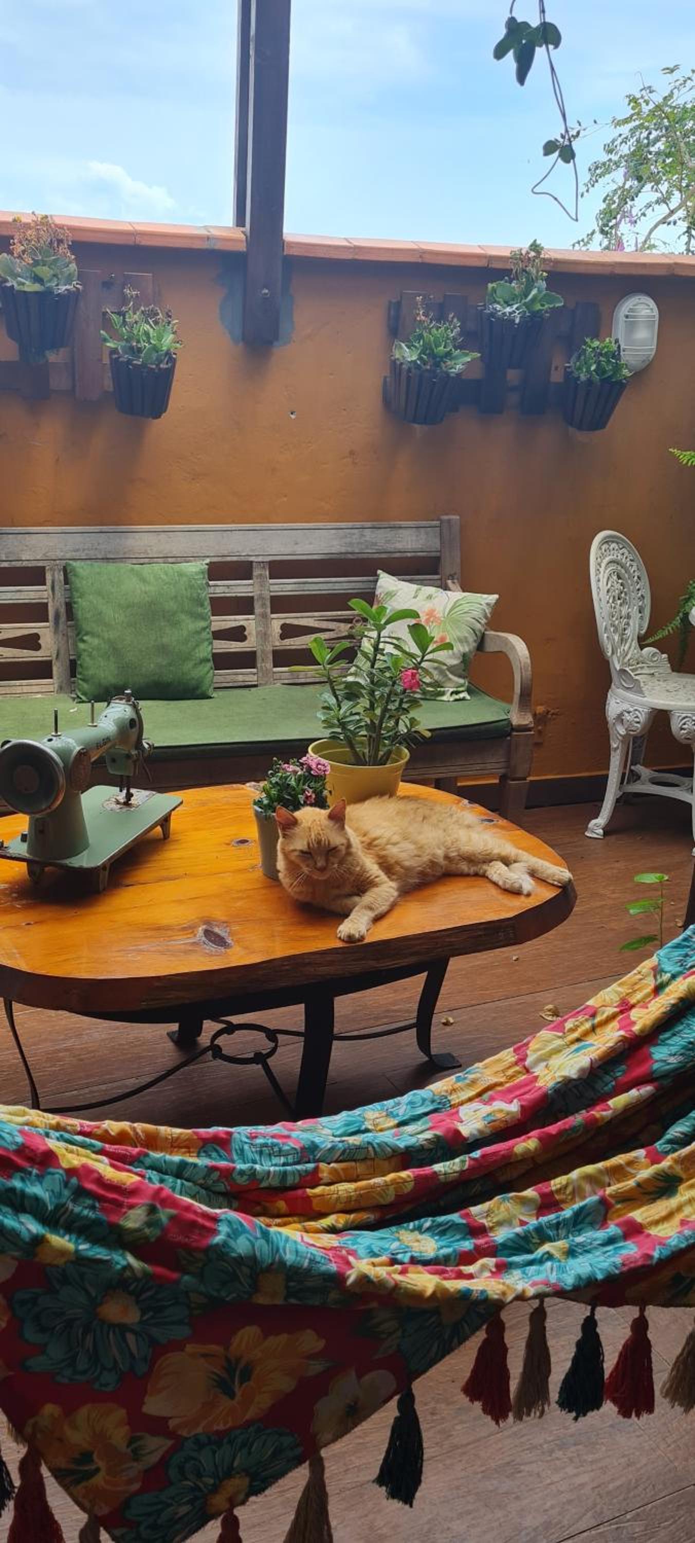 Casa da Rosa caminho das praias Florianópolis