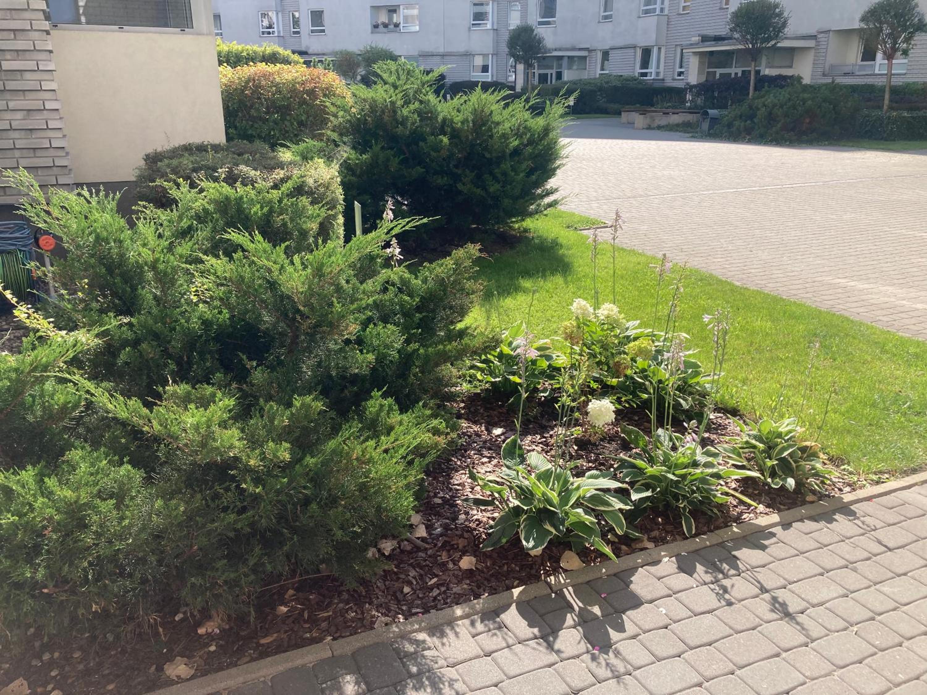 Przestronny apartament na Dolnej