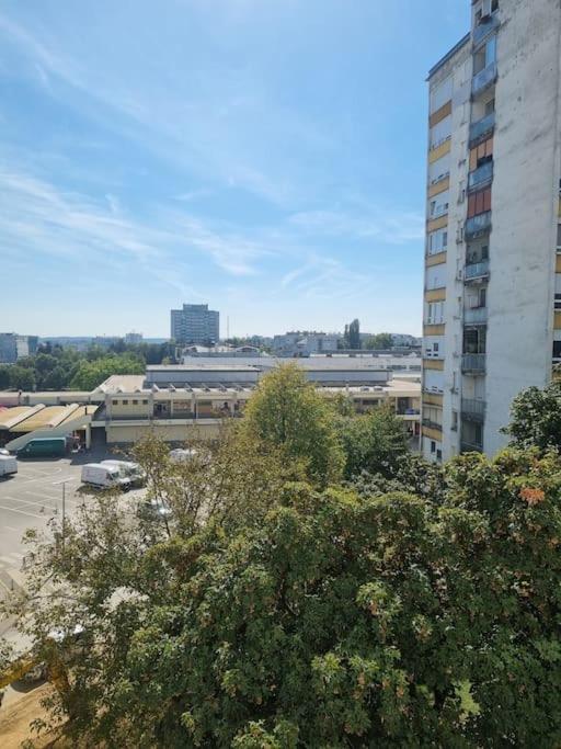Studio apartman Luna