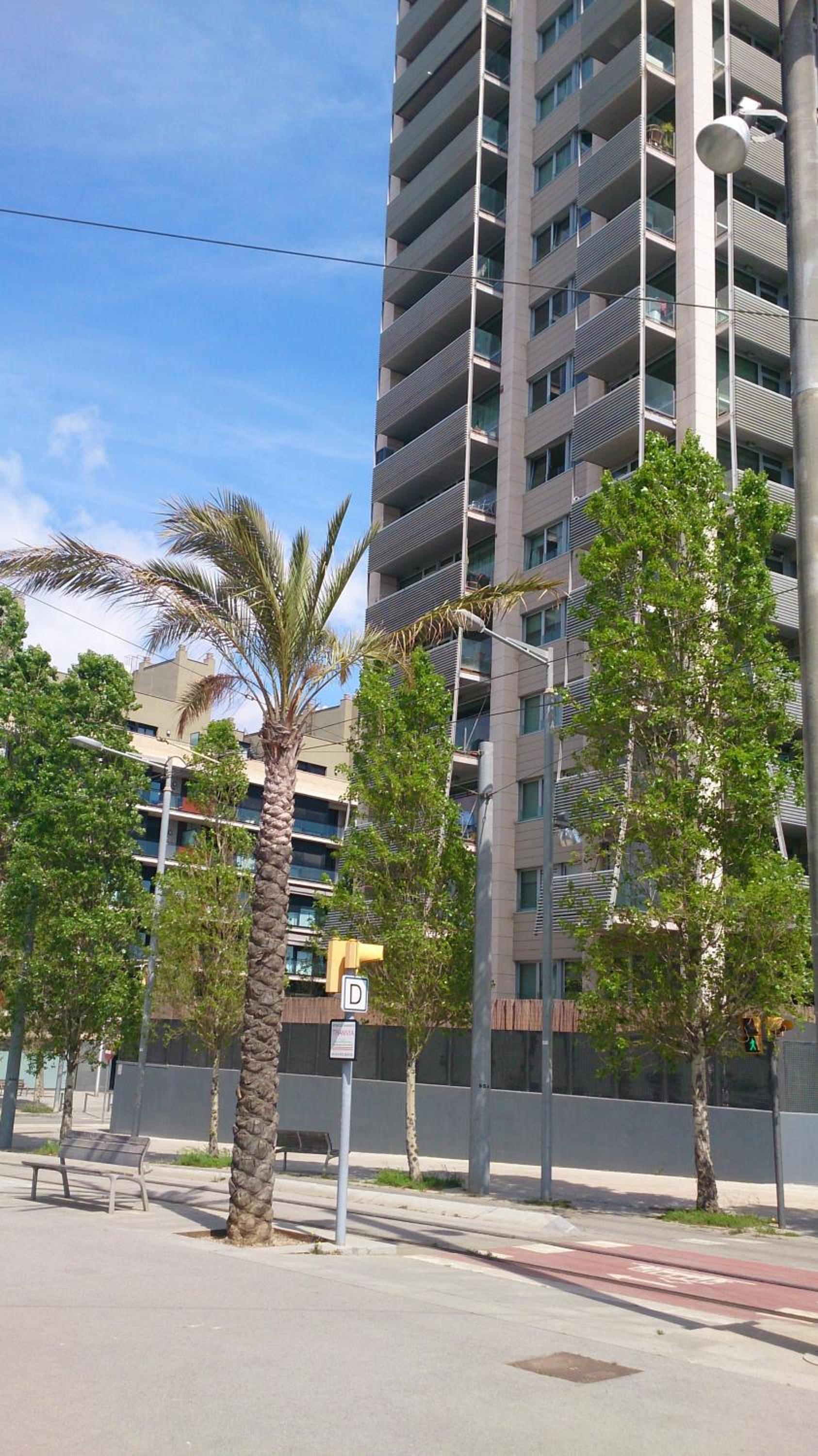 Torre Forum